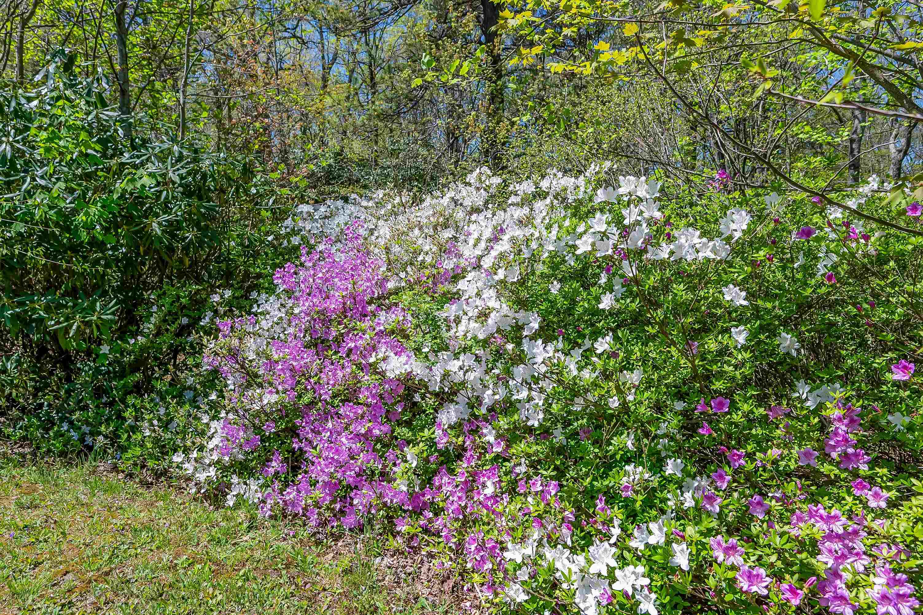 800 Volunteer Road Fancy Gap VA 24328