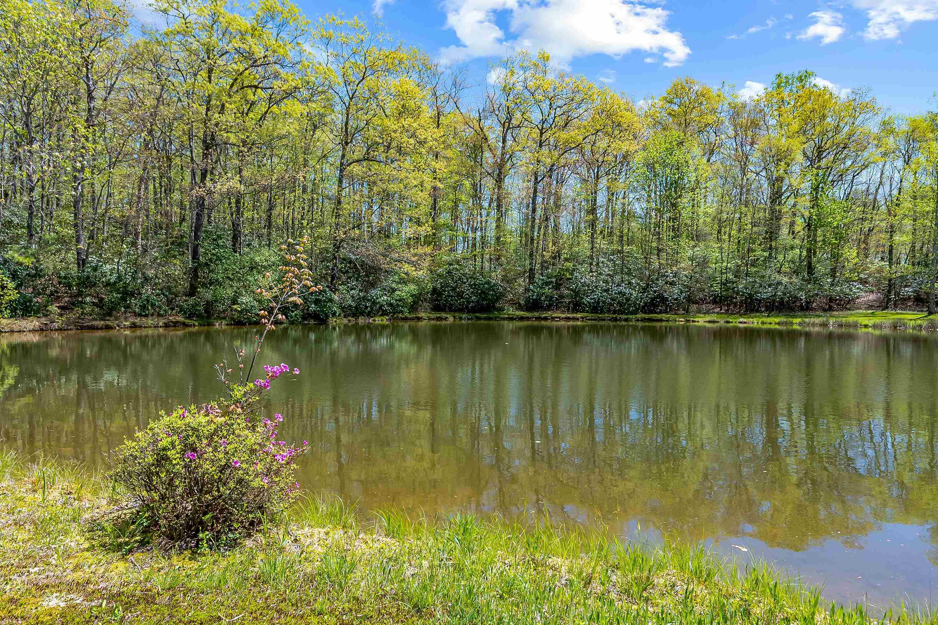 800 Volunteer Road Fancy Gap VA 24328