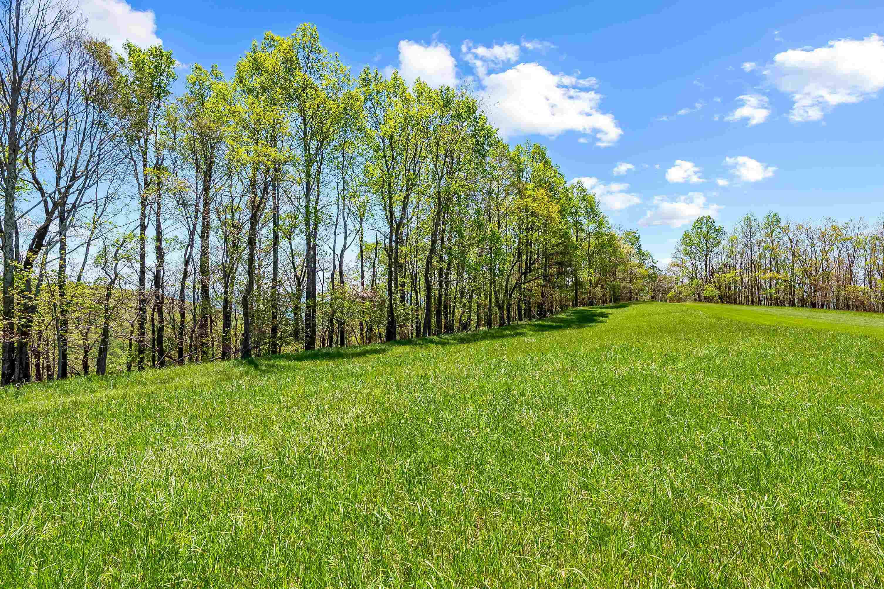 800 Volunteer Road Fancy Gap VA 24328