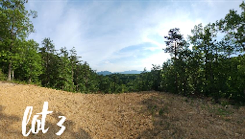 2811 Reese Mountain Road Elliston VA 24087