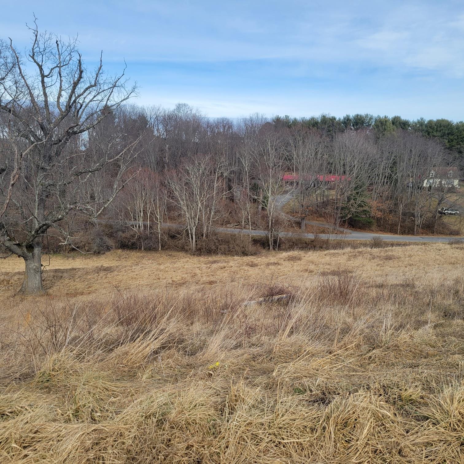 5258 Country Meadow Drive Dublin VA 24084