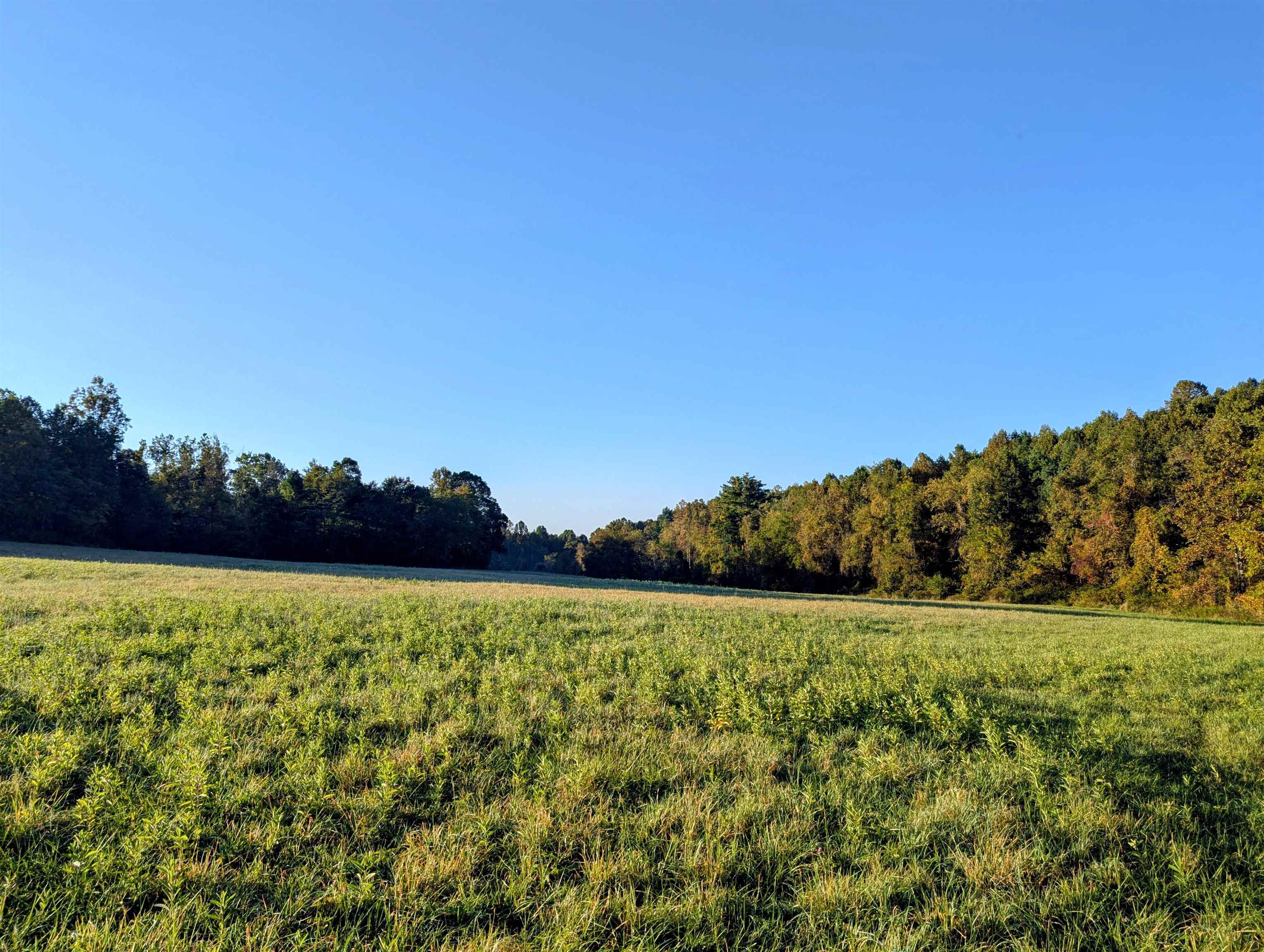 Tbd Daniels Run Road Check VA 24072