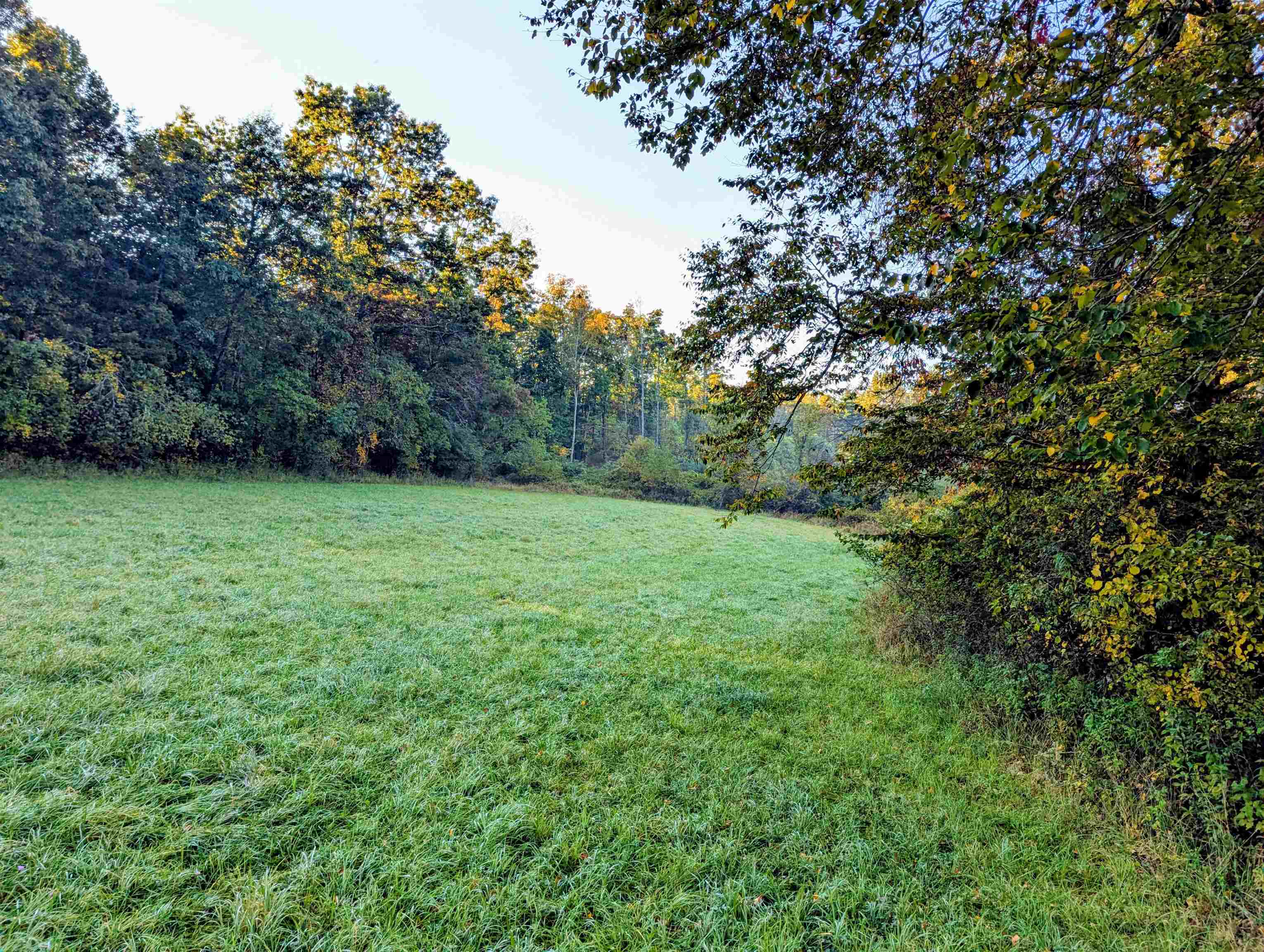 Tbd Daniels Run Road Check VA 24072