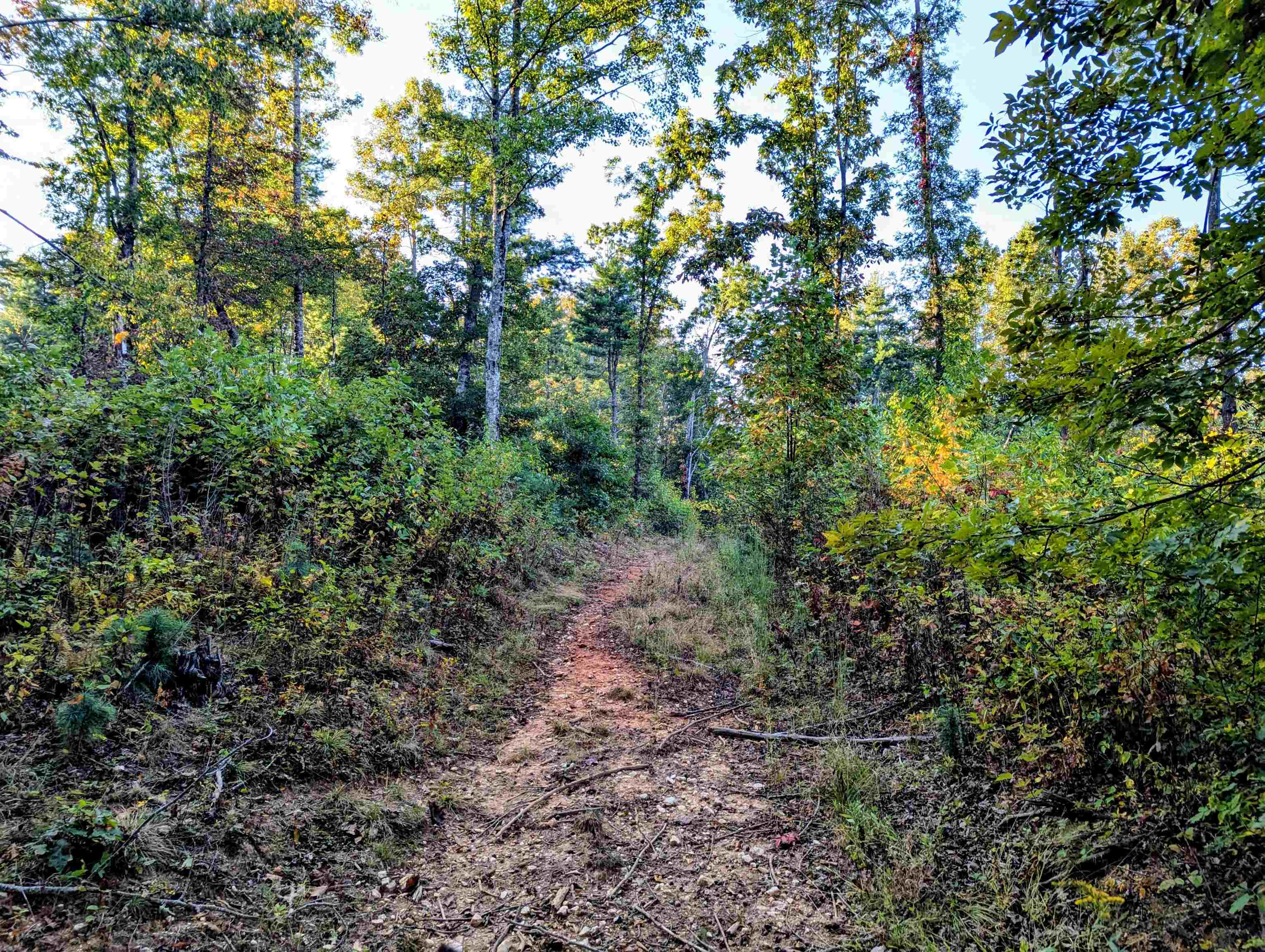 Tbd Daniels Run Road Check VA 24072