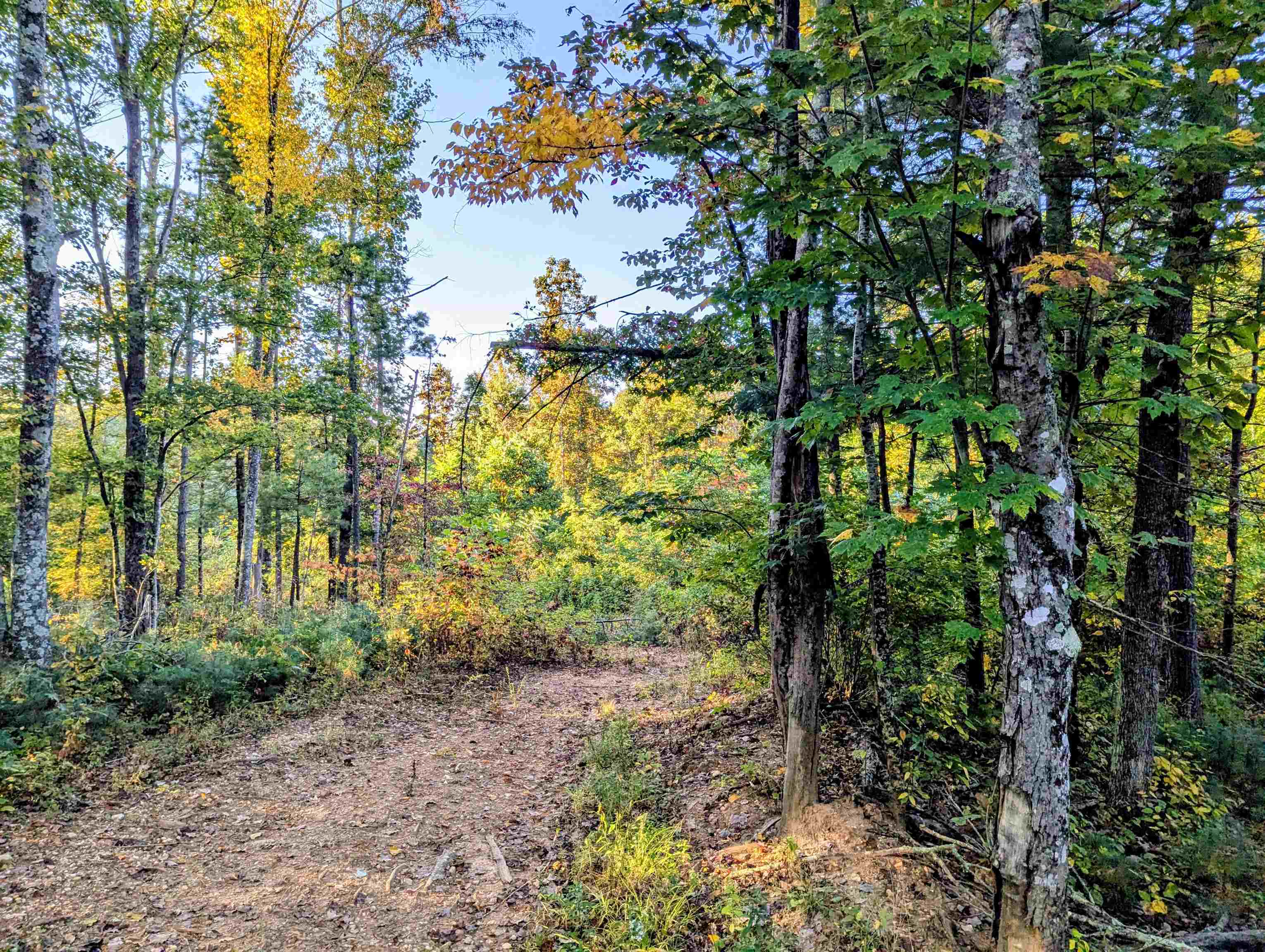 Tbd Daniels Run Road Check VA 24072