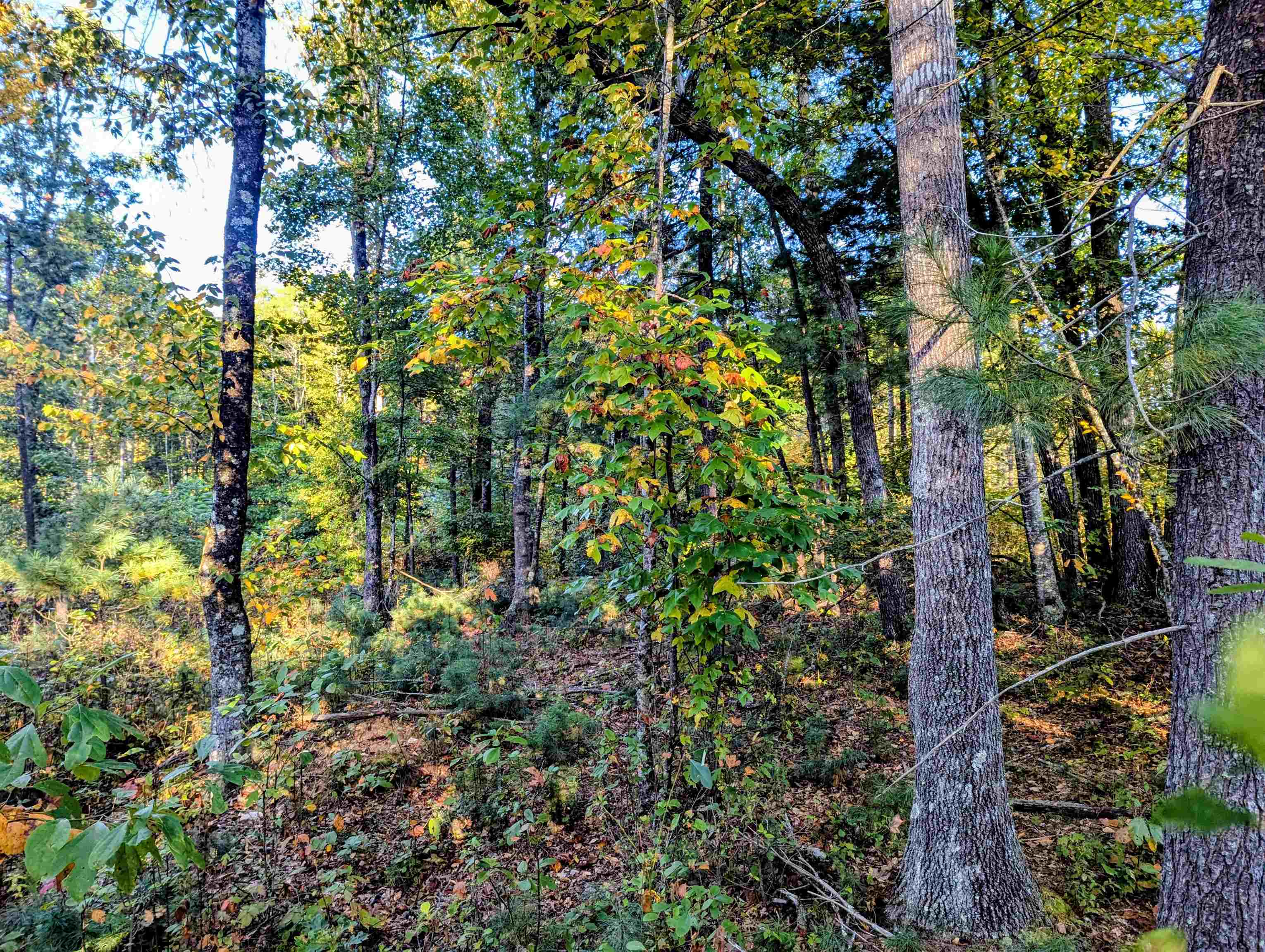 Tbd Daniels Run Road Check VA 24072