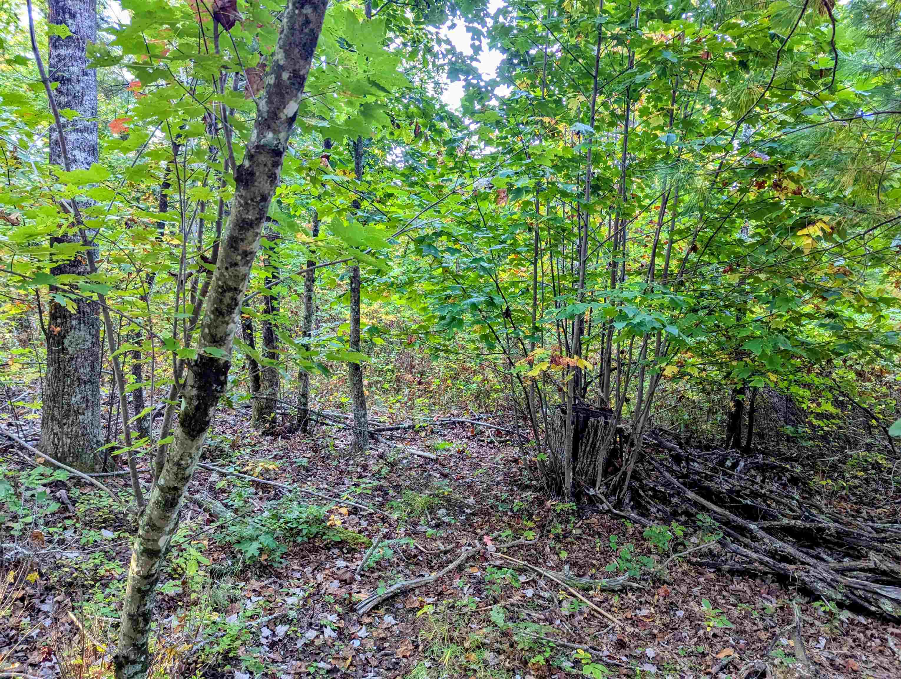 Tbd Daniels Run Road Check VA 24072