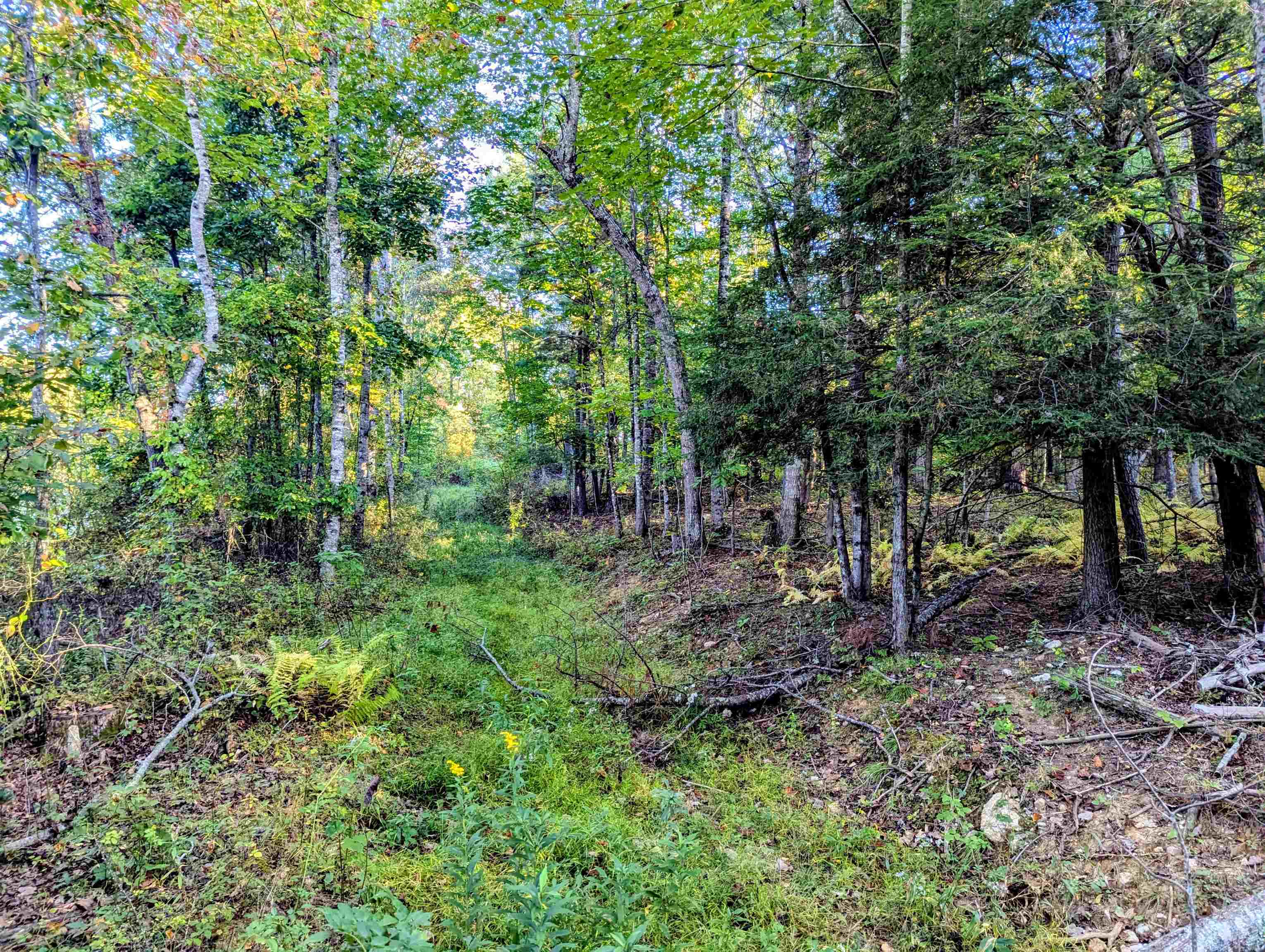 Tbd Daniels Run Road Check VA 24072