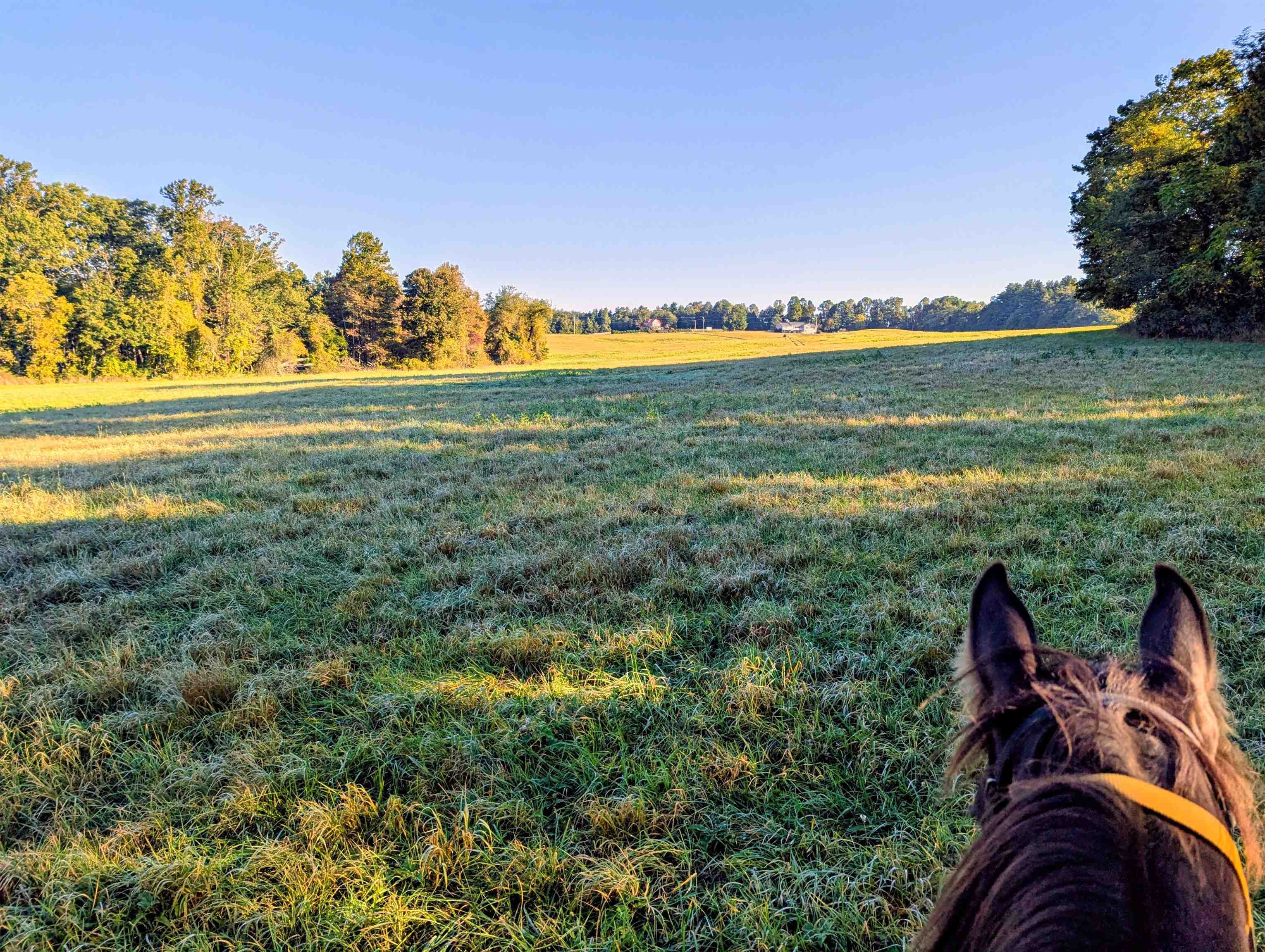 Tbd Daniels Run Road Check VA 24072