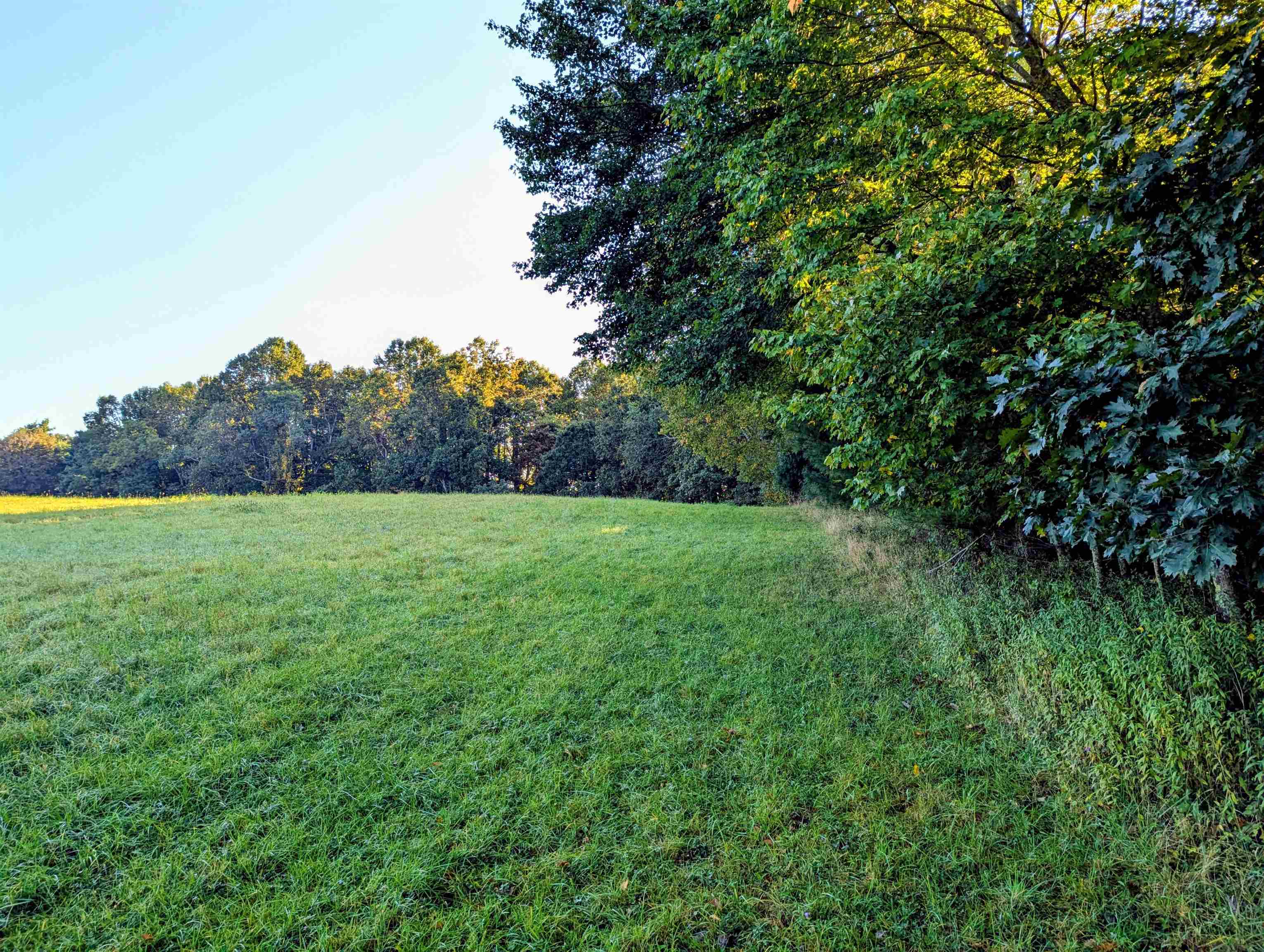 Tbd Daniels Run Road Check VA 24072