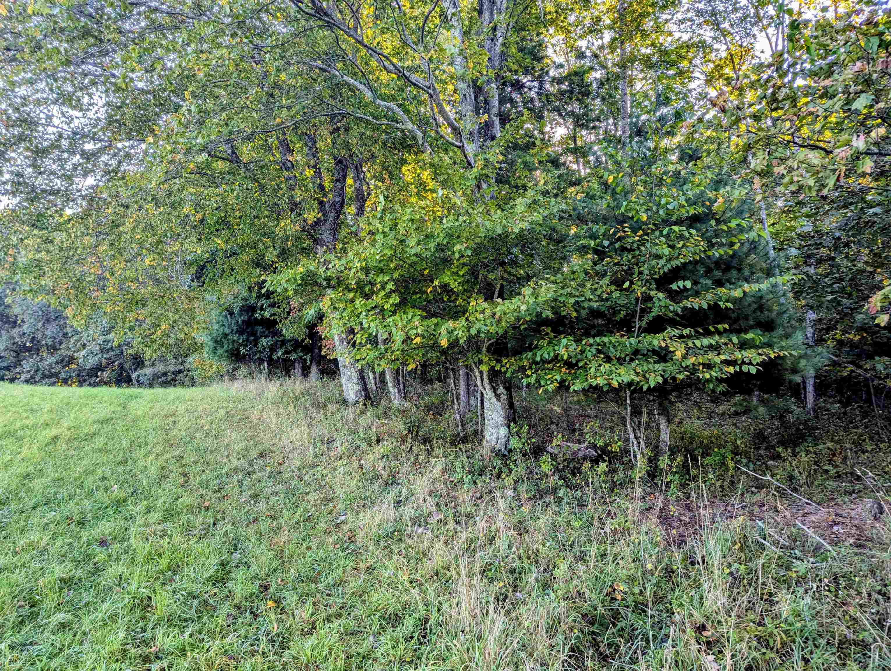 Tbd Daniels Run Road Check VA 24072