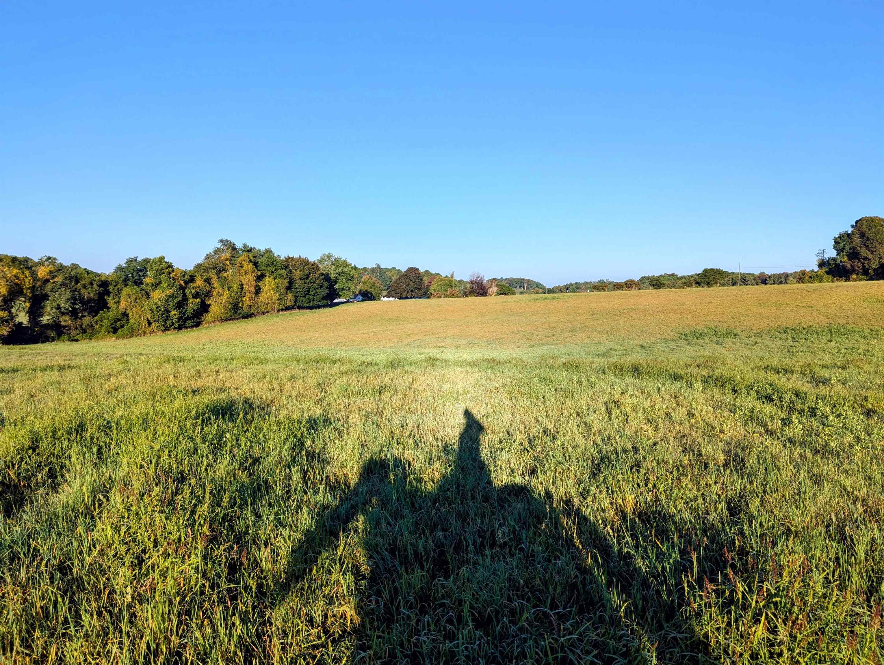 Tbd Daniels Run Road Check VA 24072