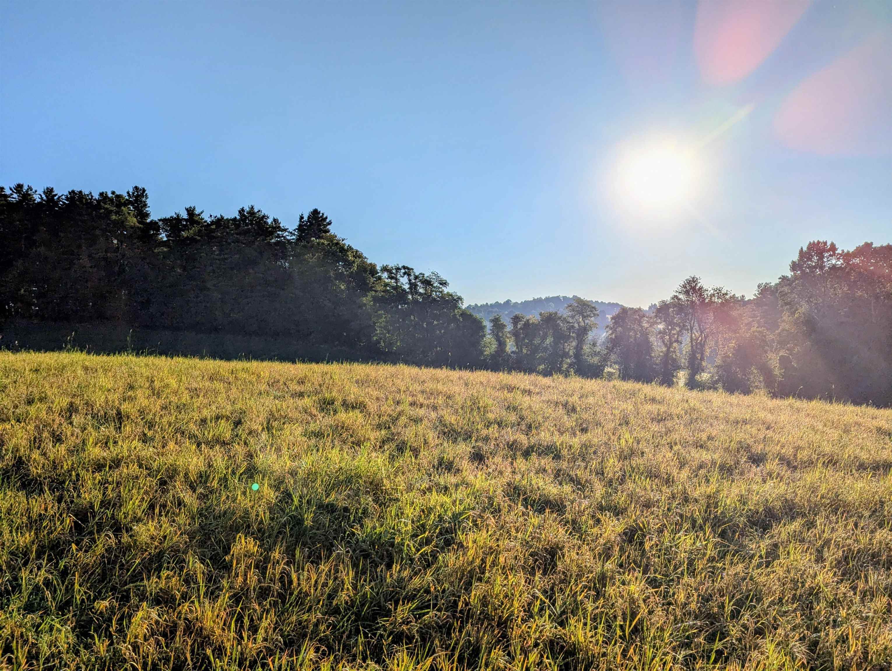 Tbd Daniels Run Road Check VA 24072