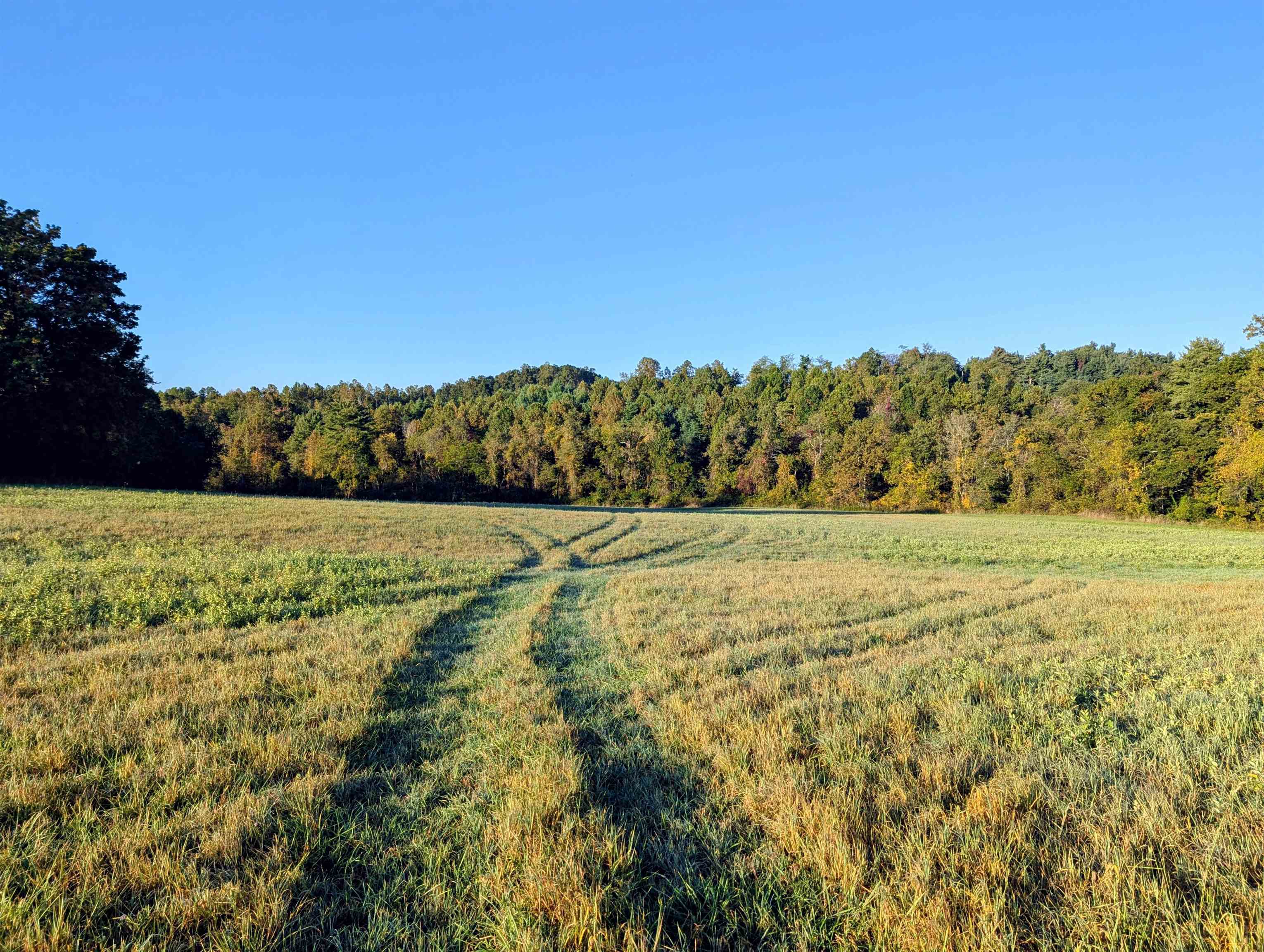 Tbd Daniels Run Road Check VA 24072