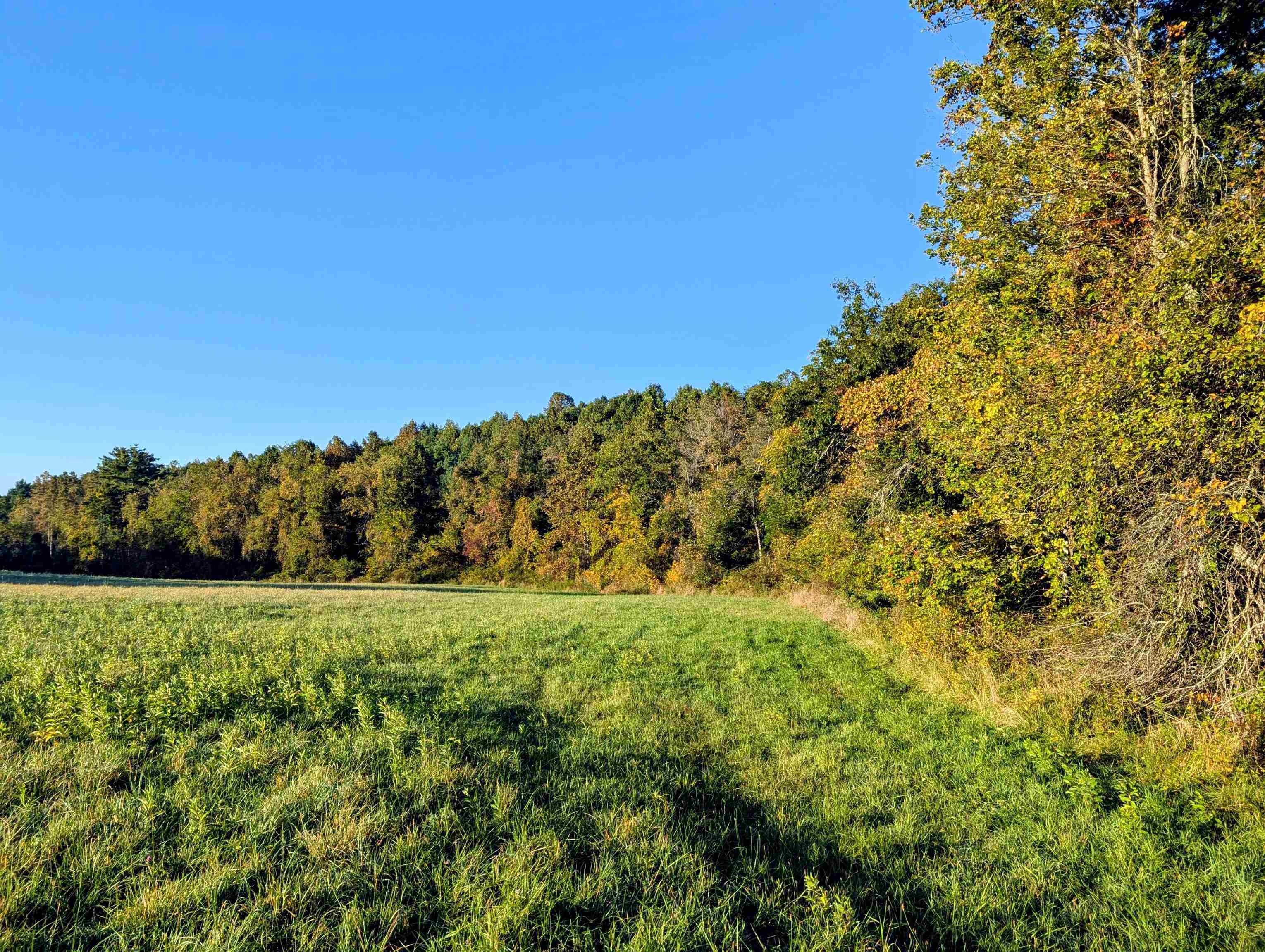 Tbd Daniels Run Road Check VA 24072