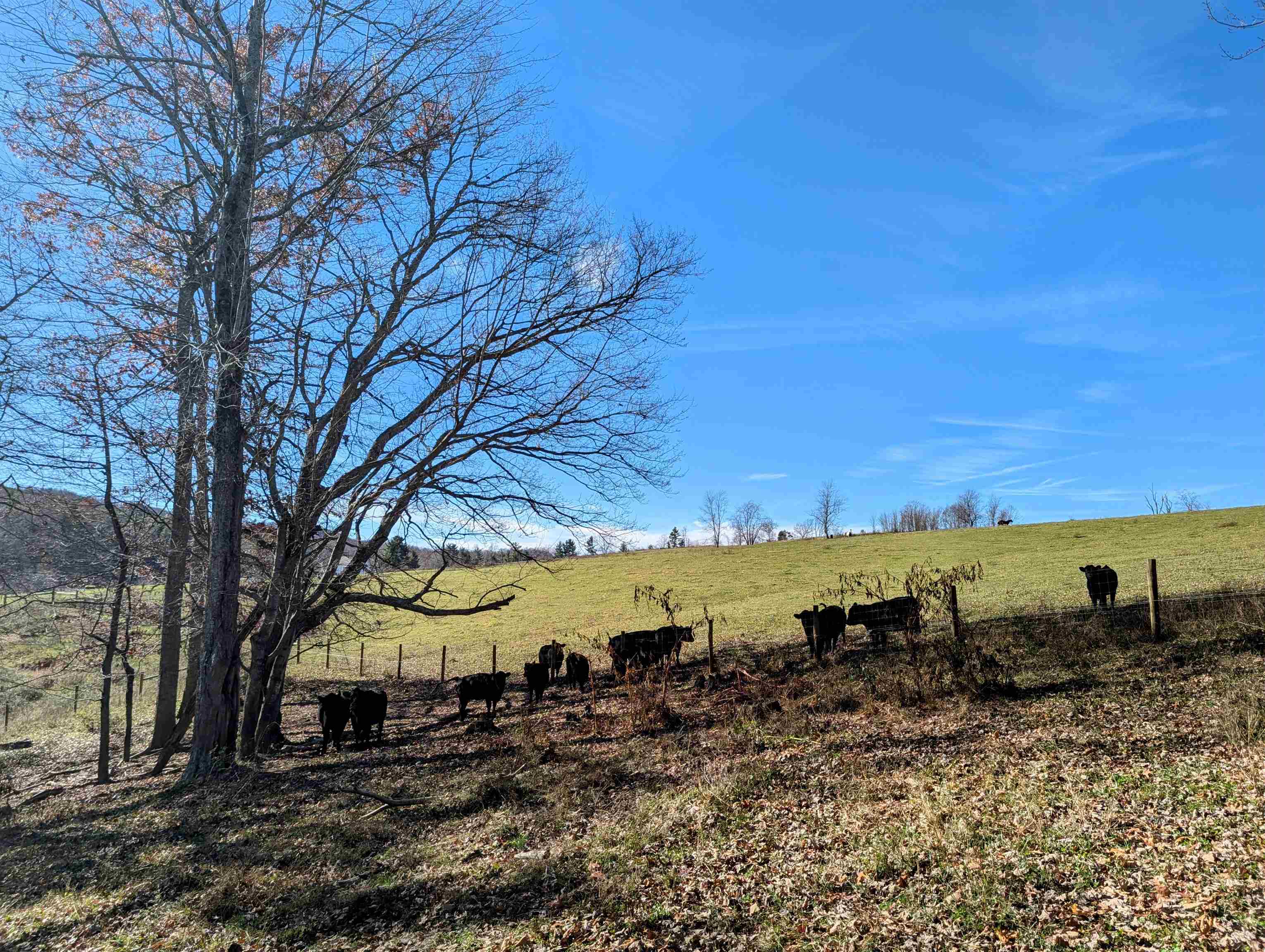 Tbd Floyd Highway S Willis VA 24380