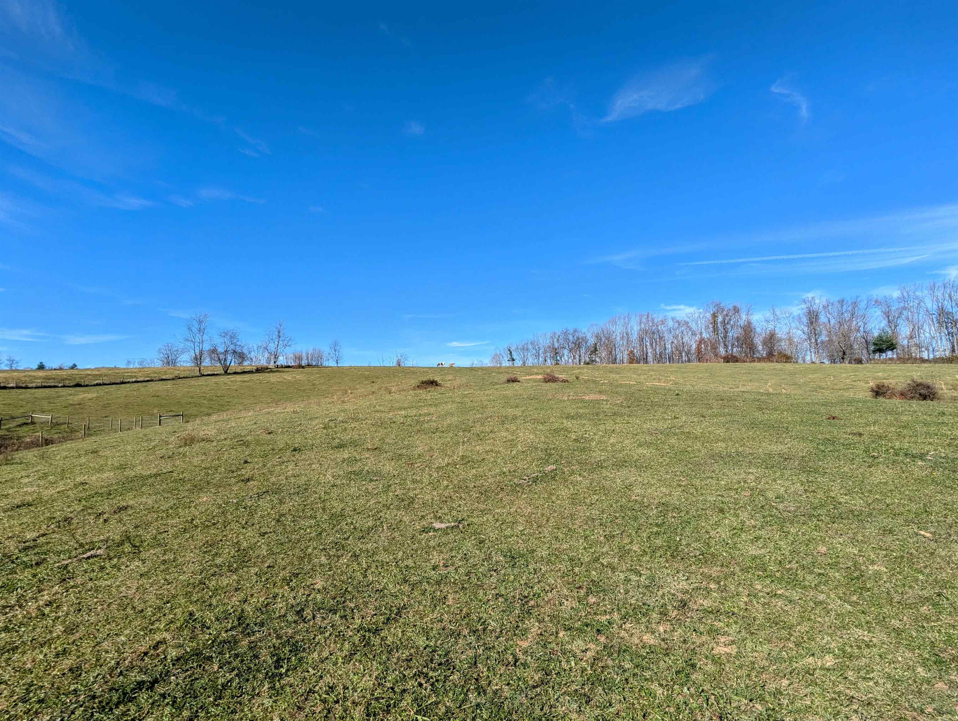 Tbd Floyd Highway S Willis VA 24380