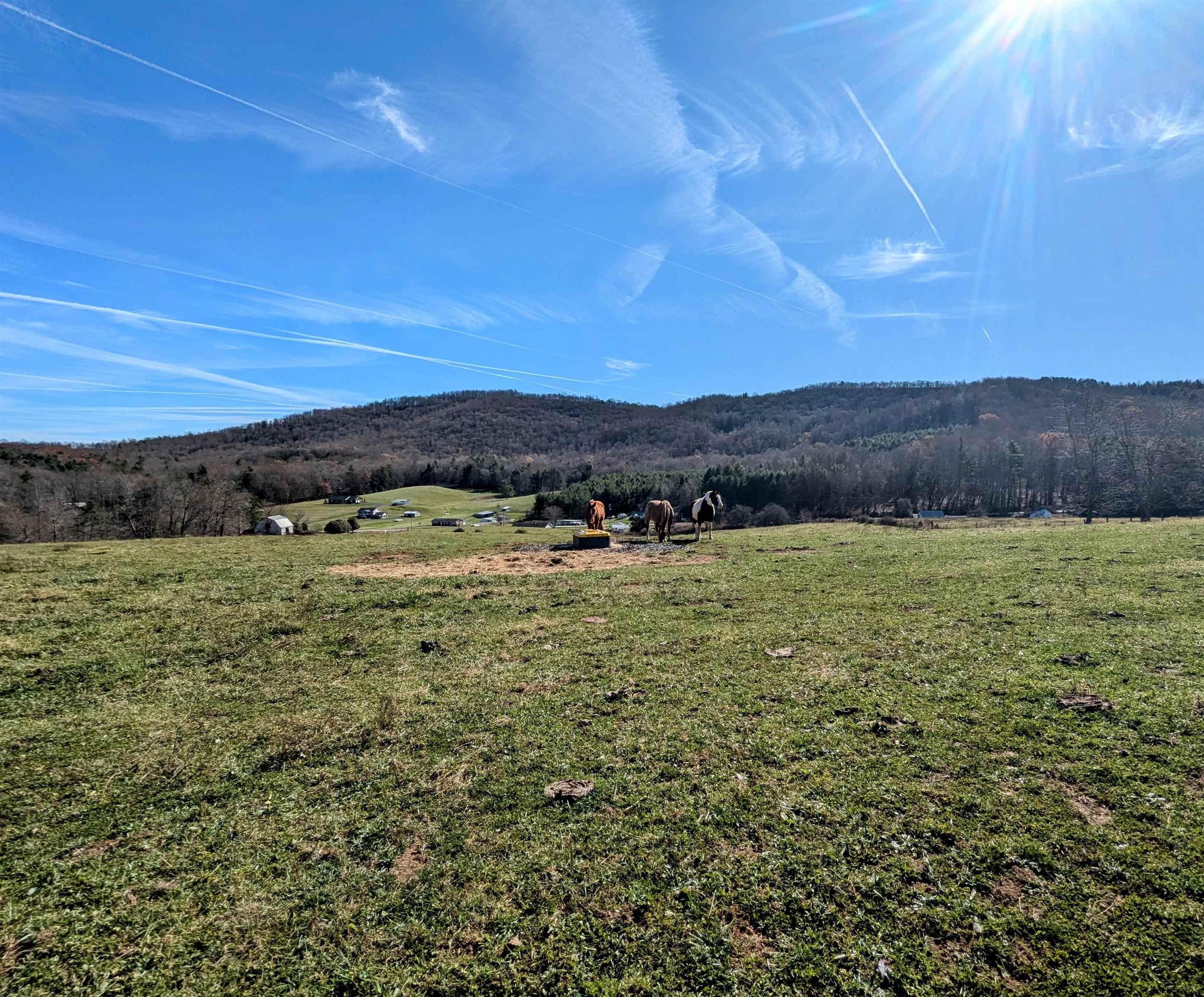 Tbd Floyd Highway S Willis VA 24380