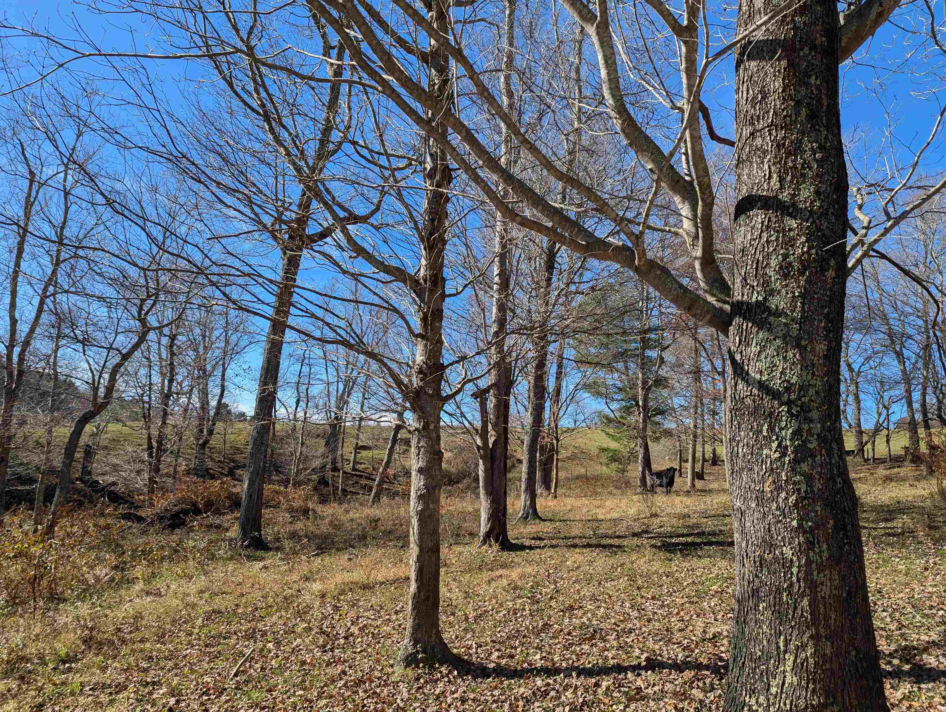 Tbd Floyd Highway S Willis VA 24380