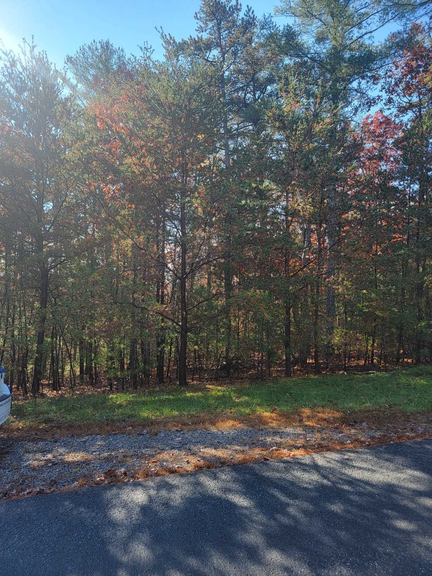 2930 New Ridge Road Elliston VA 24087