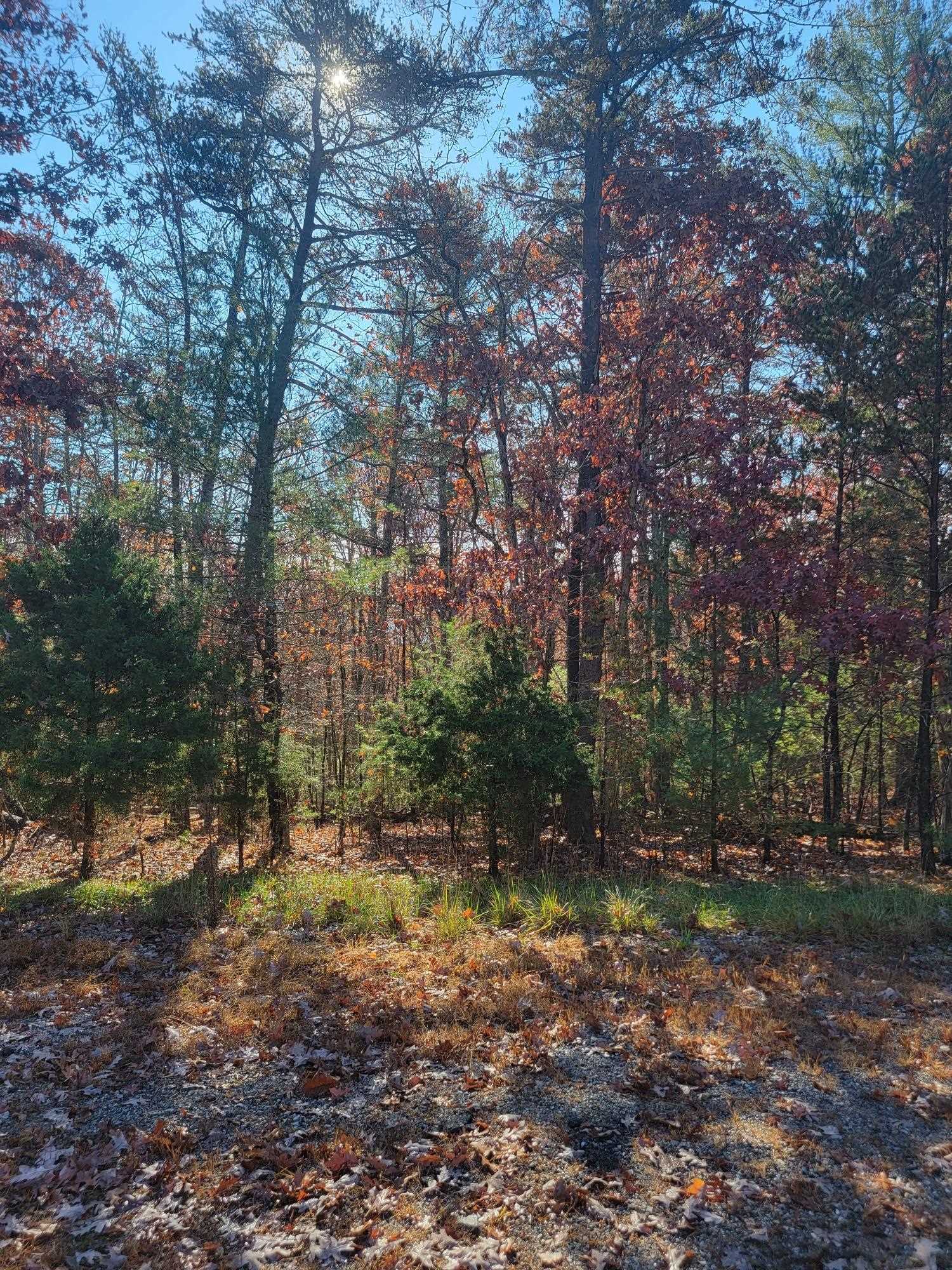 2930 New Ridge Road Elliston VA 24087