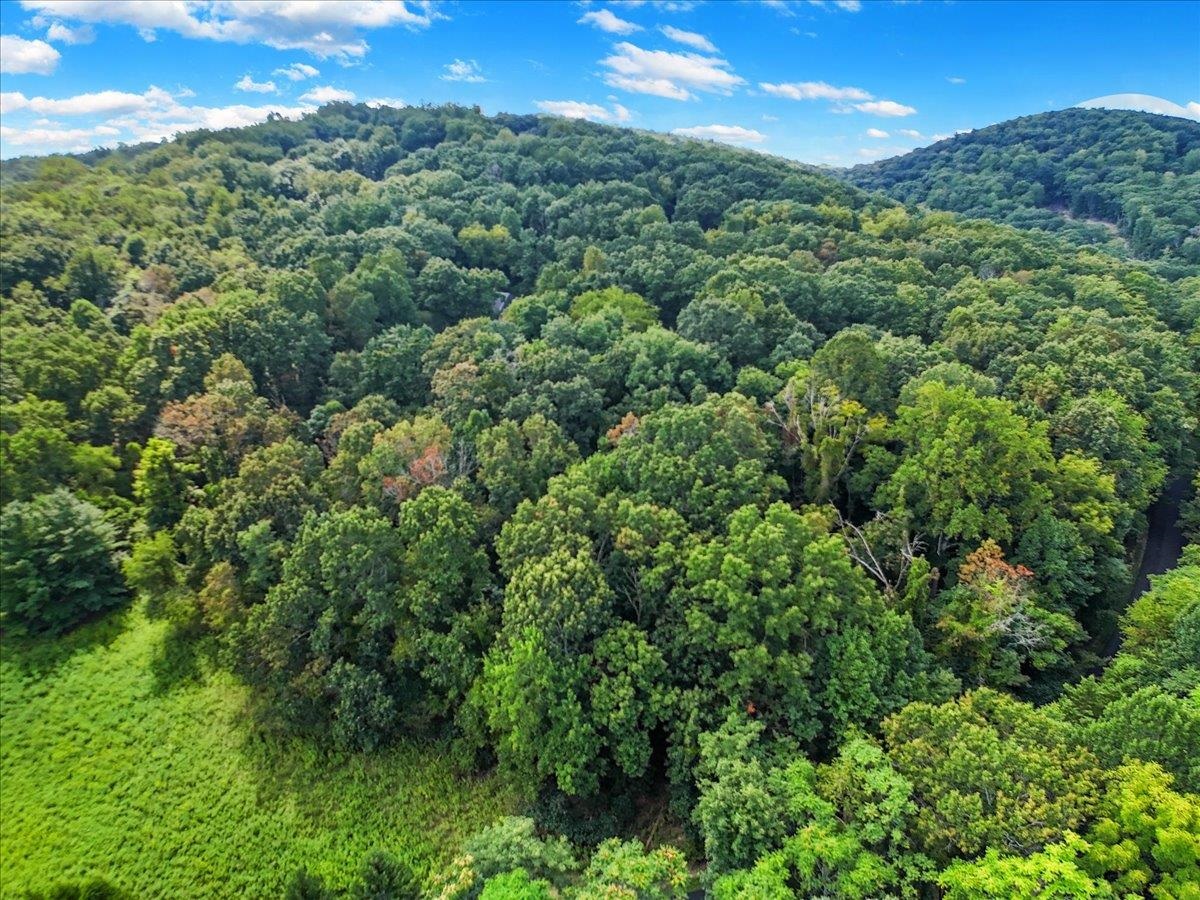 575 Deercroft Drive Blacksburg VA 24060