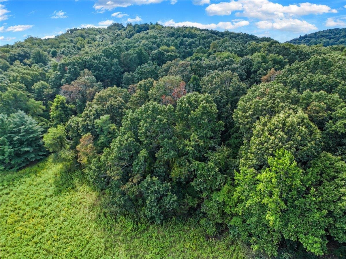 575 Deercroft Drive Blacksburg VA 24060