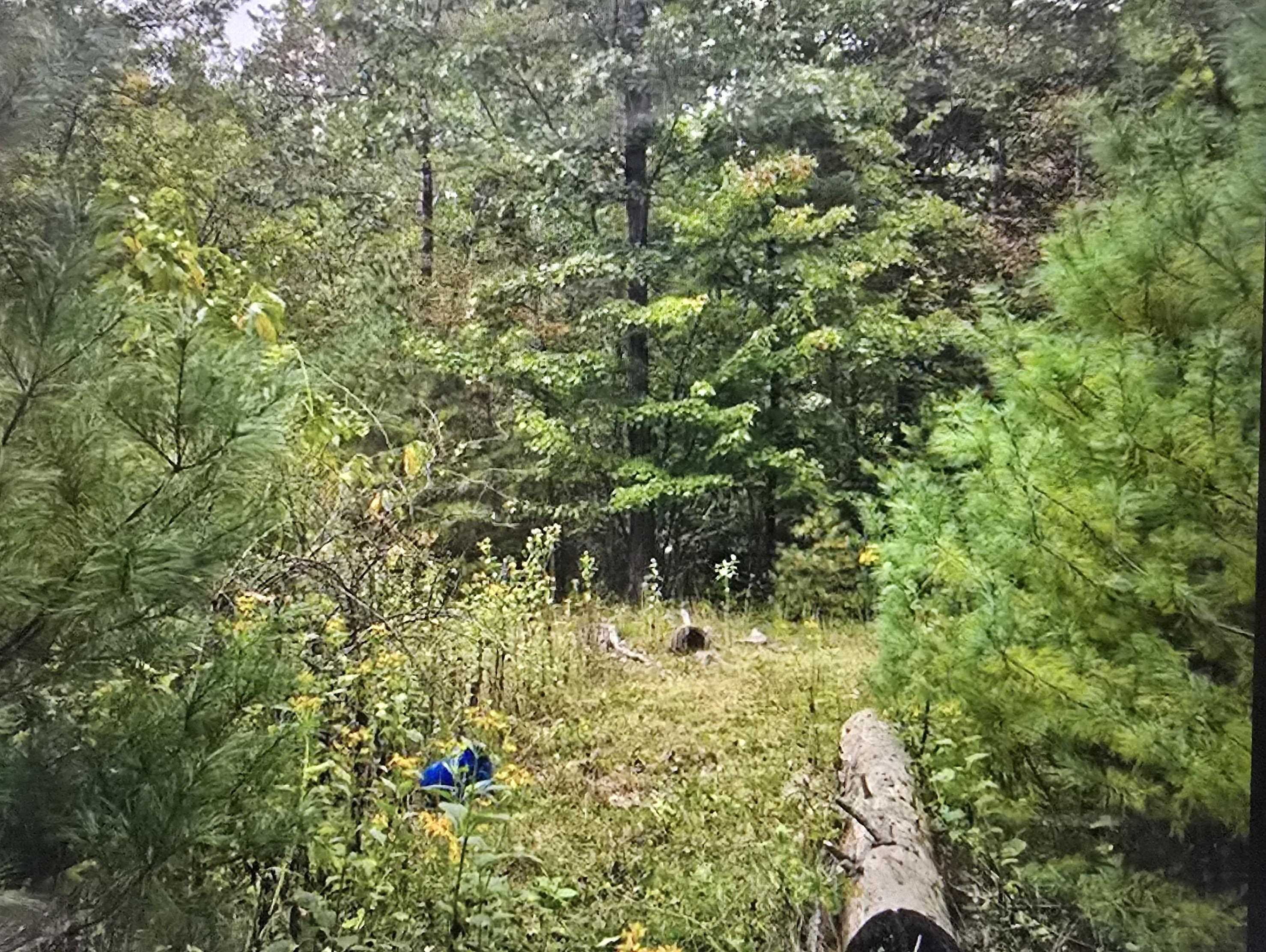 2280 Jennings Road Shawsville VA 24162