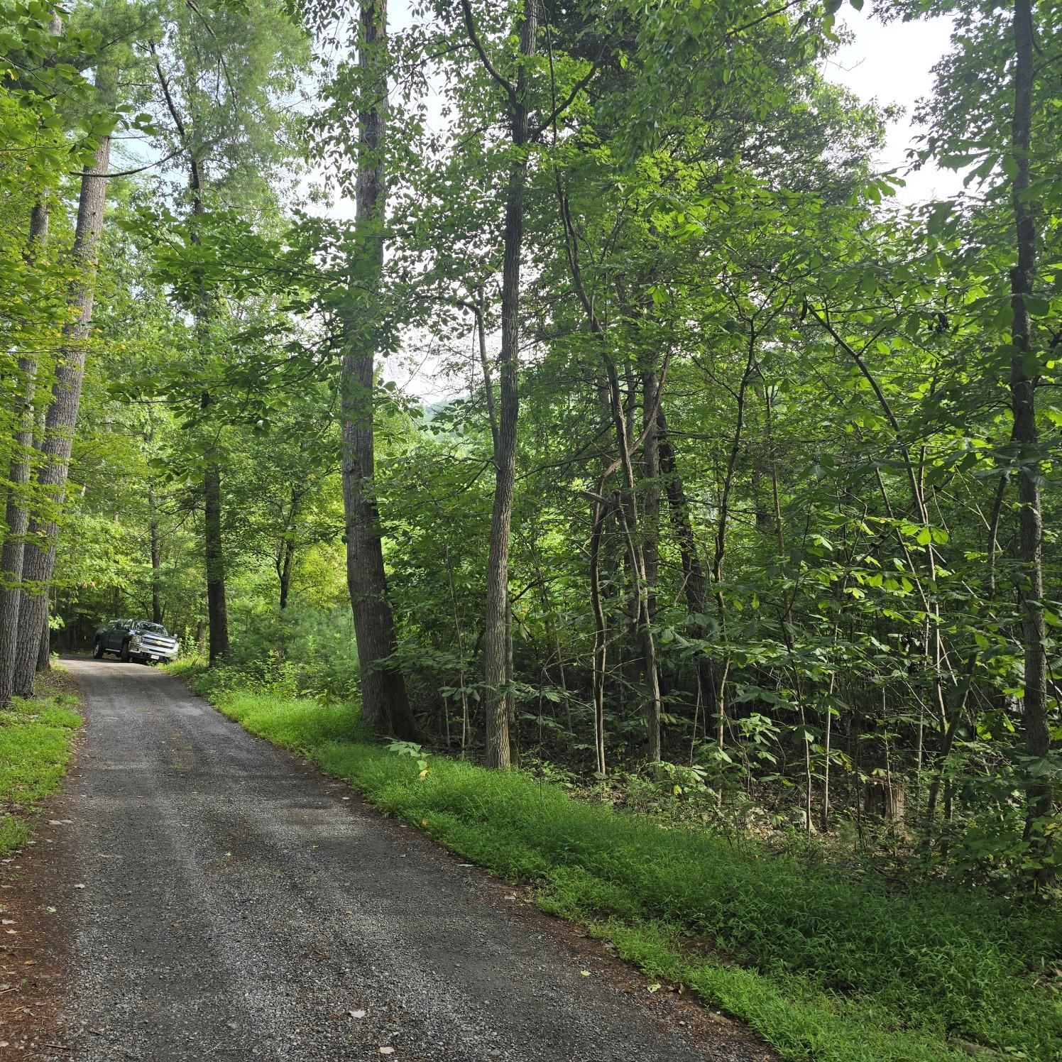 2280 Jennings Road Shawsville VA 24162