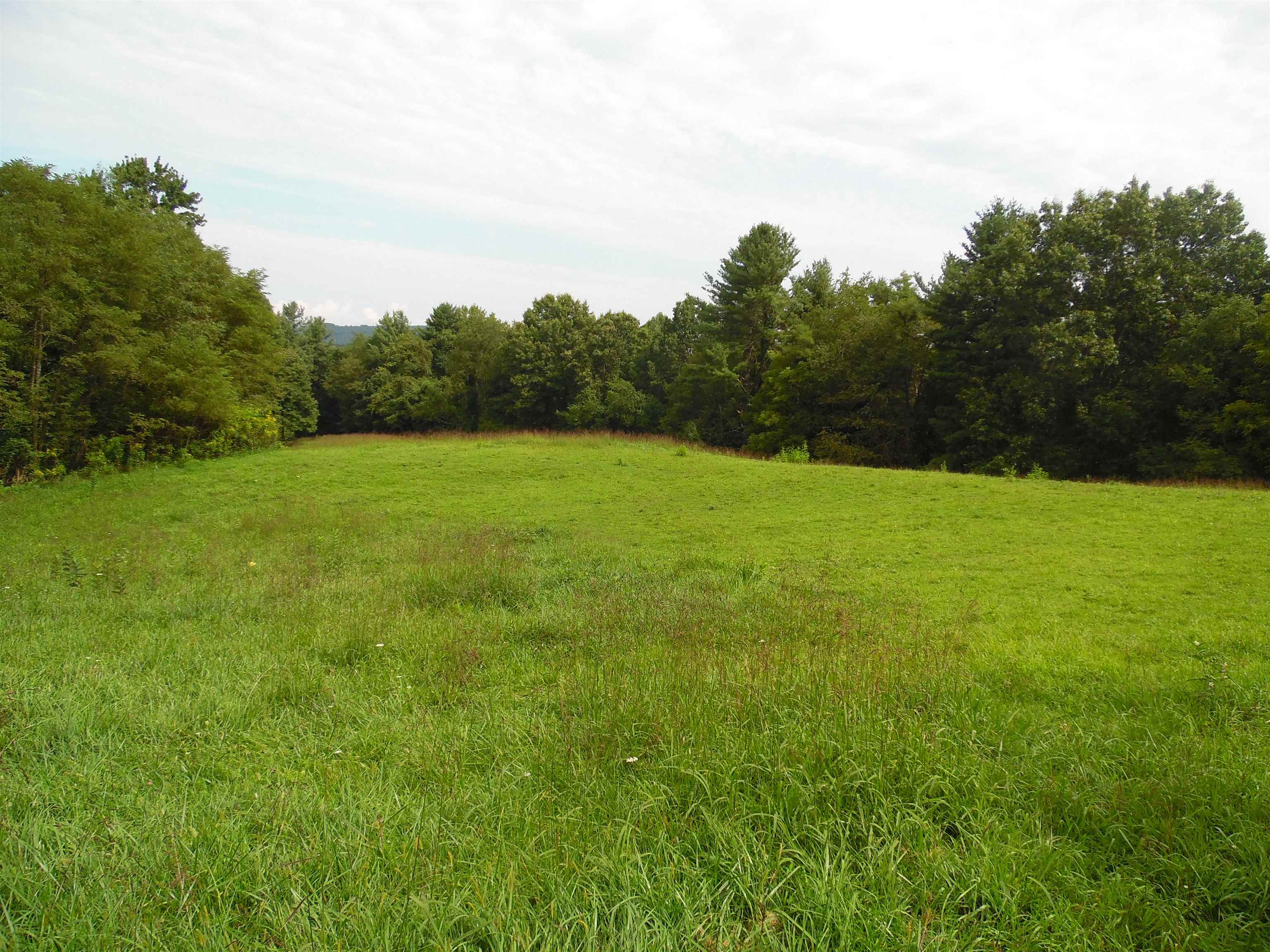 Tbd Easter Creek Road NW Riner VA 24149