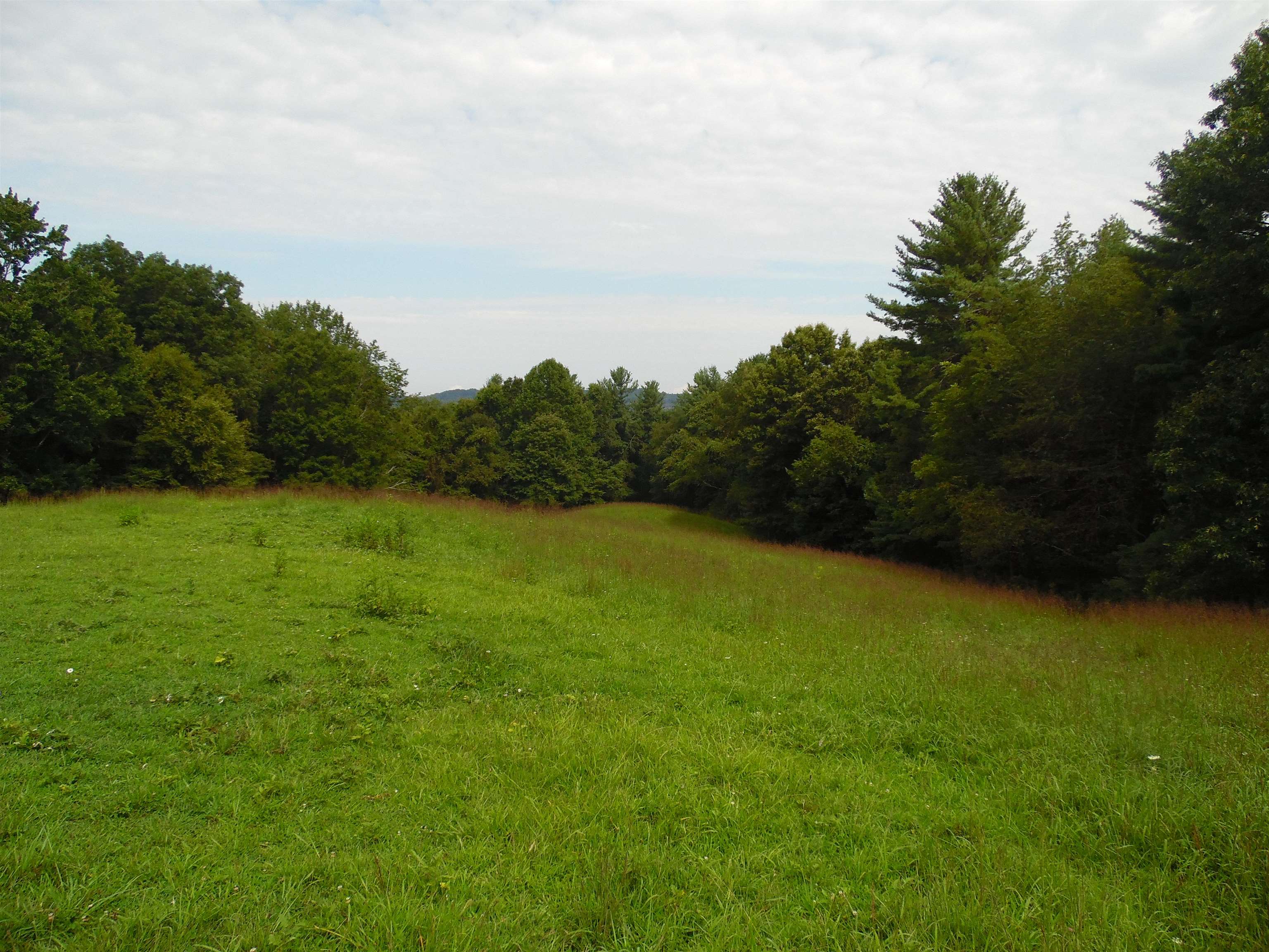 Tbd Easter Creek Road NW Riner VA 24149