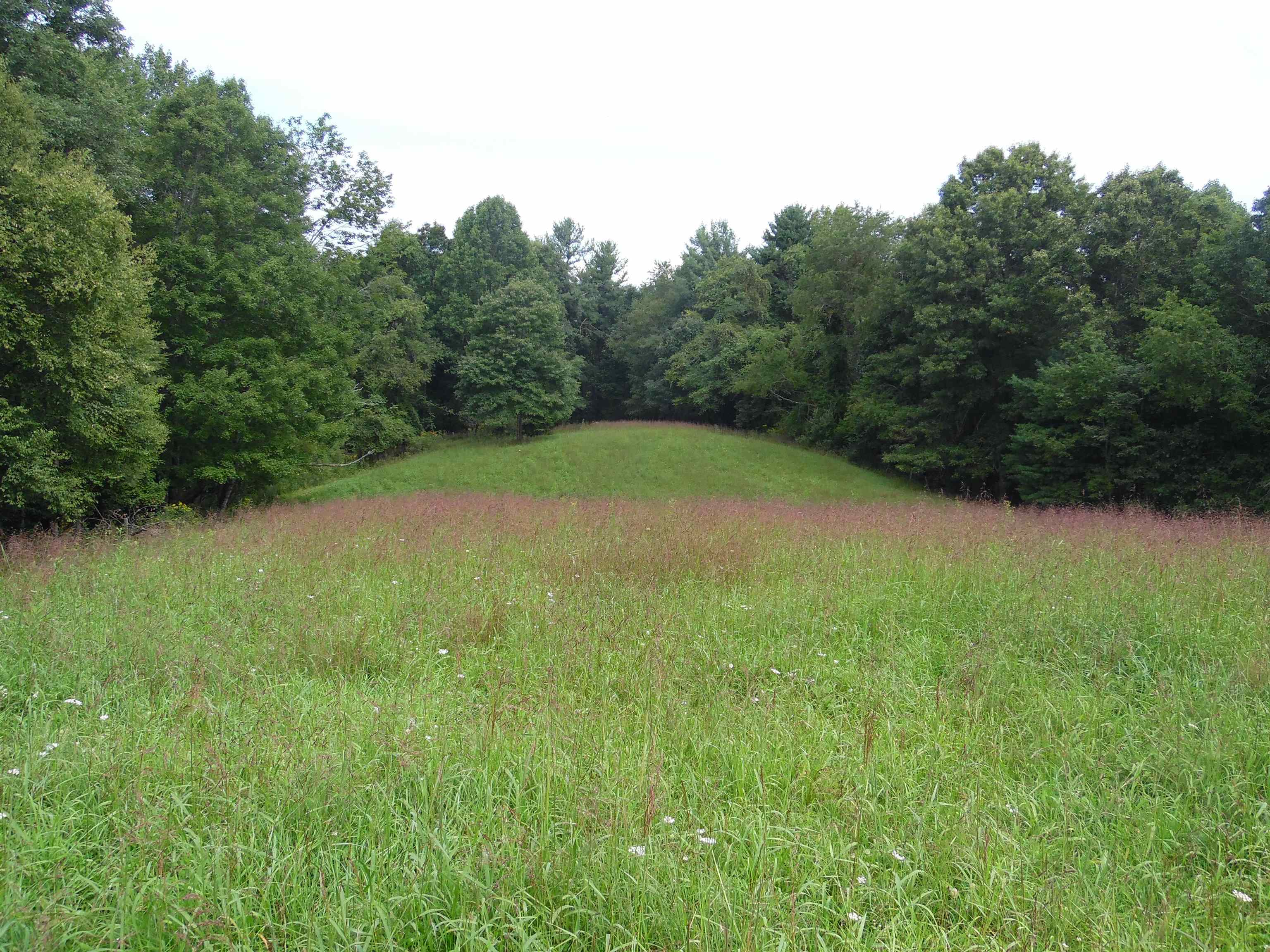 Tbd Easter Creek Road NW Riner VA 24149