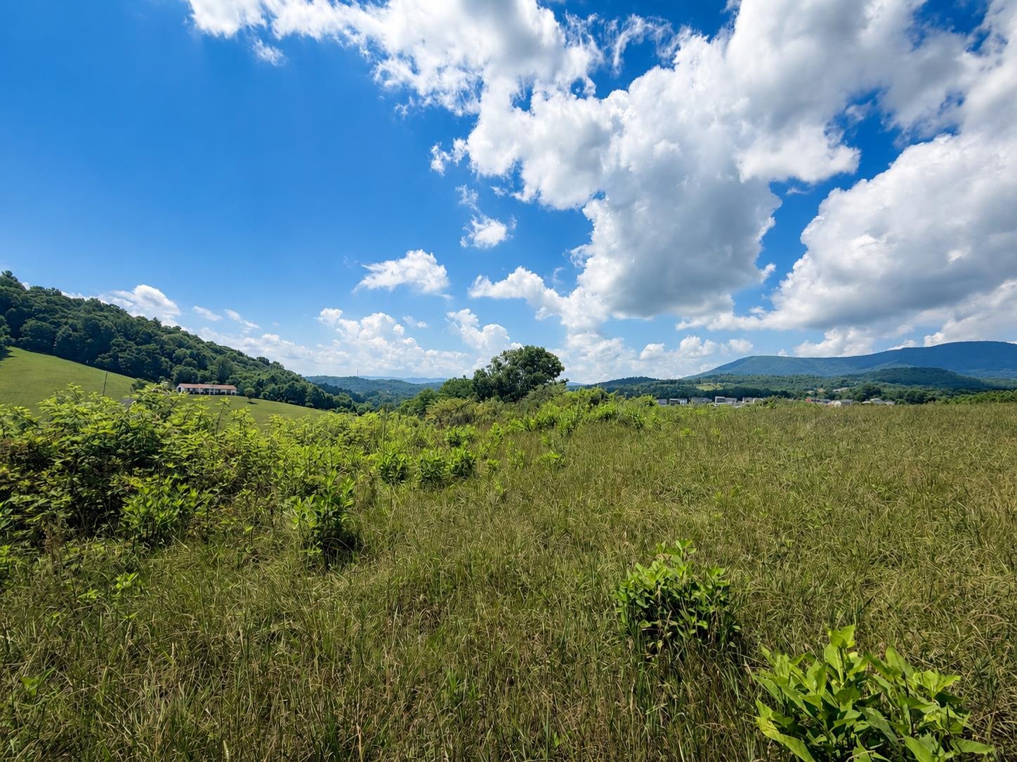 Lot 1 Green Tree Road Pembroke VA 24136