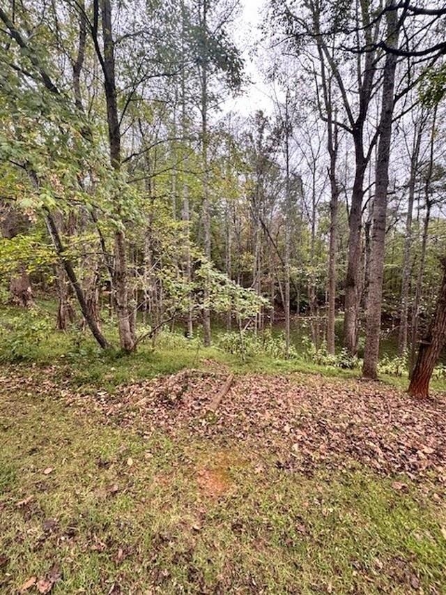 0 Old Mill Drive Hardy VA 24101