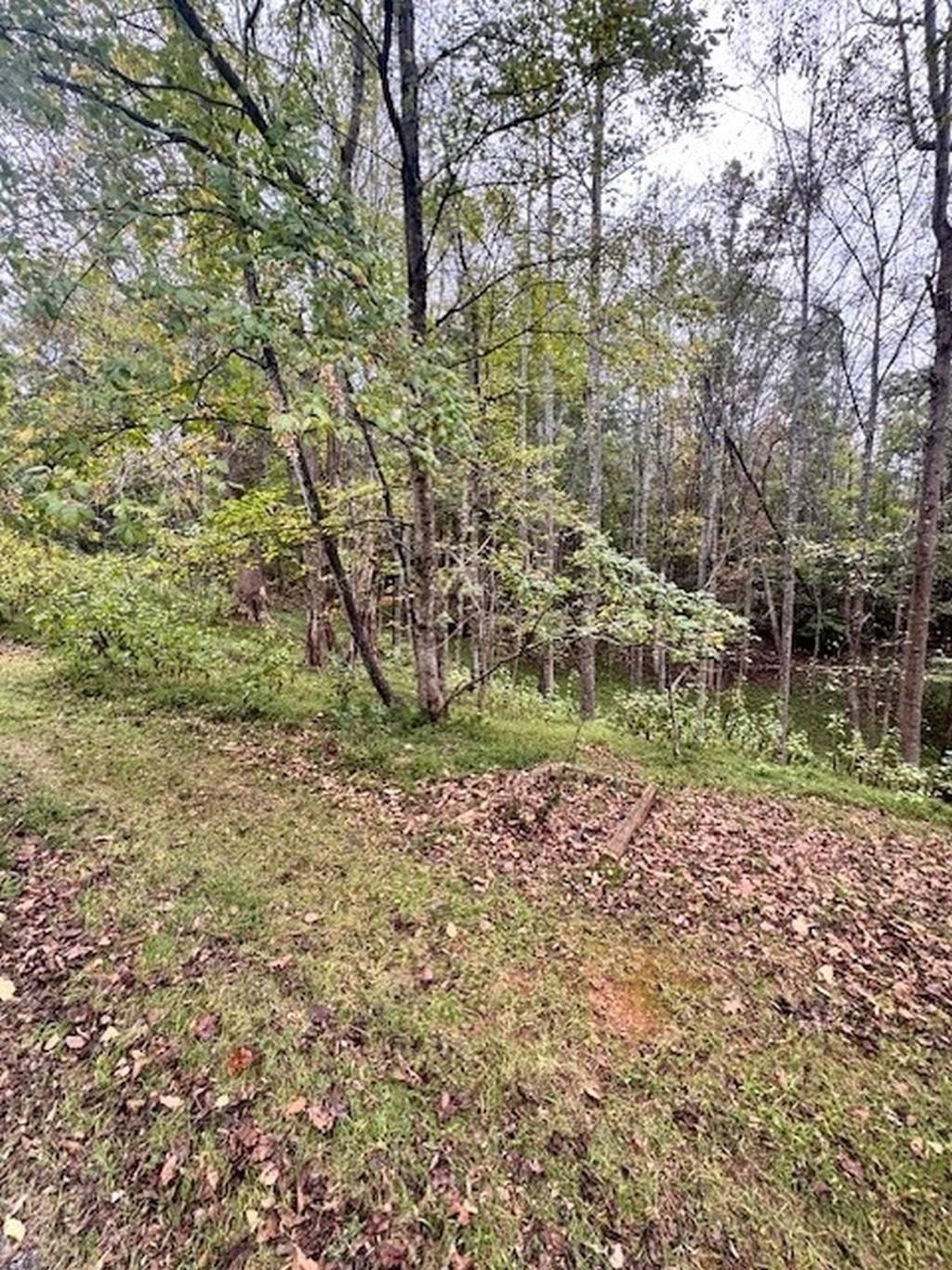 0 Old Mill Drive Hardy VA 24101