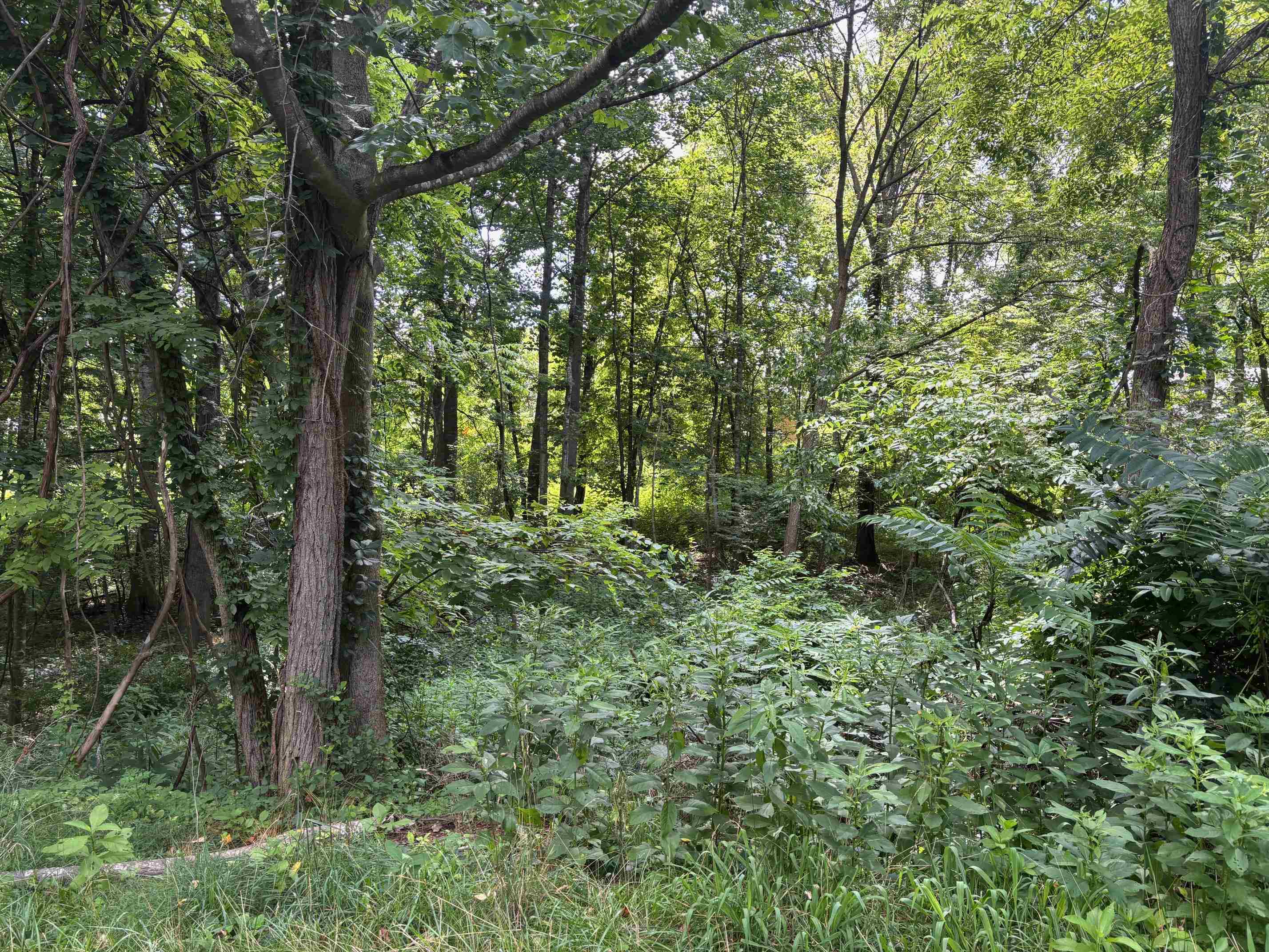 Tbd Lot 9 Parkview Court Dublin VA 24084