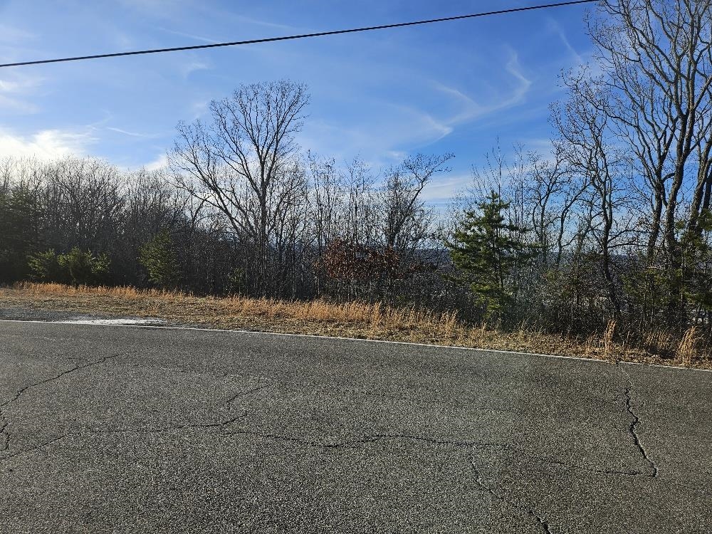 Tbd Hermosa Drive Drive Pulaski VA 24301