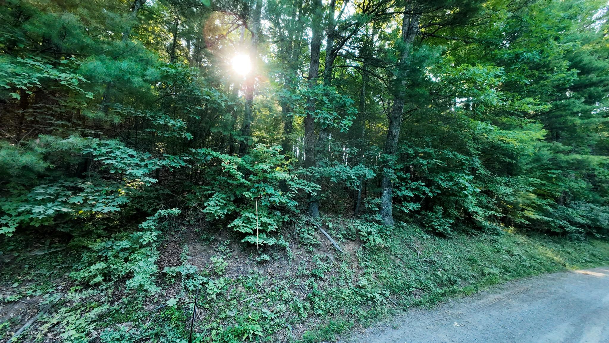 Tract 2 Merifield Road Willis VA 24380