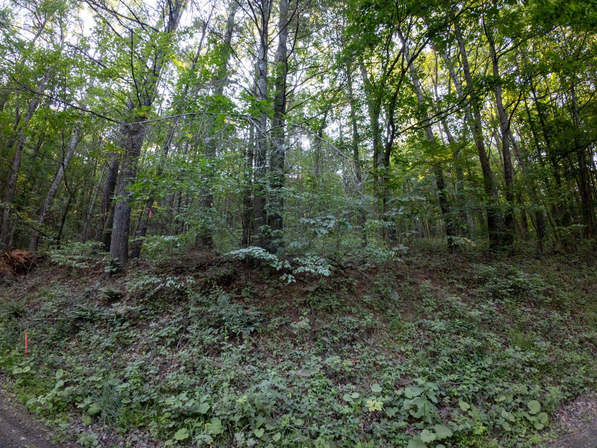 Tract 2 Merifield Road Willis VA 24380