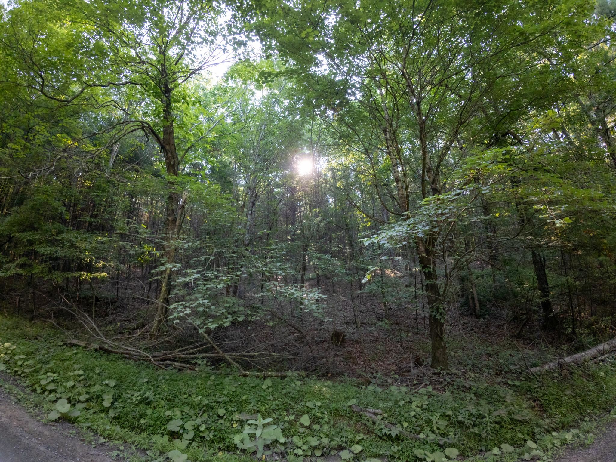 Tract 2 Merifield Road Willis VA 24380