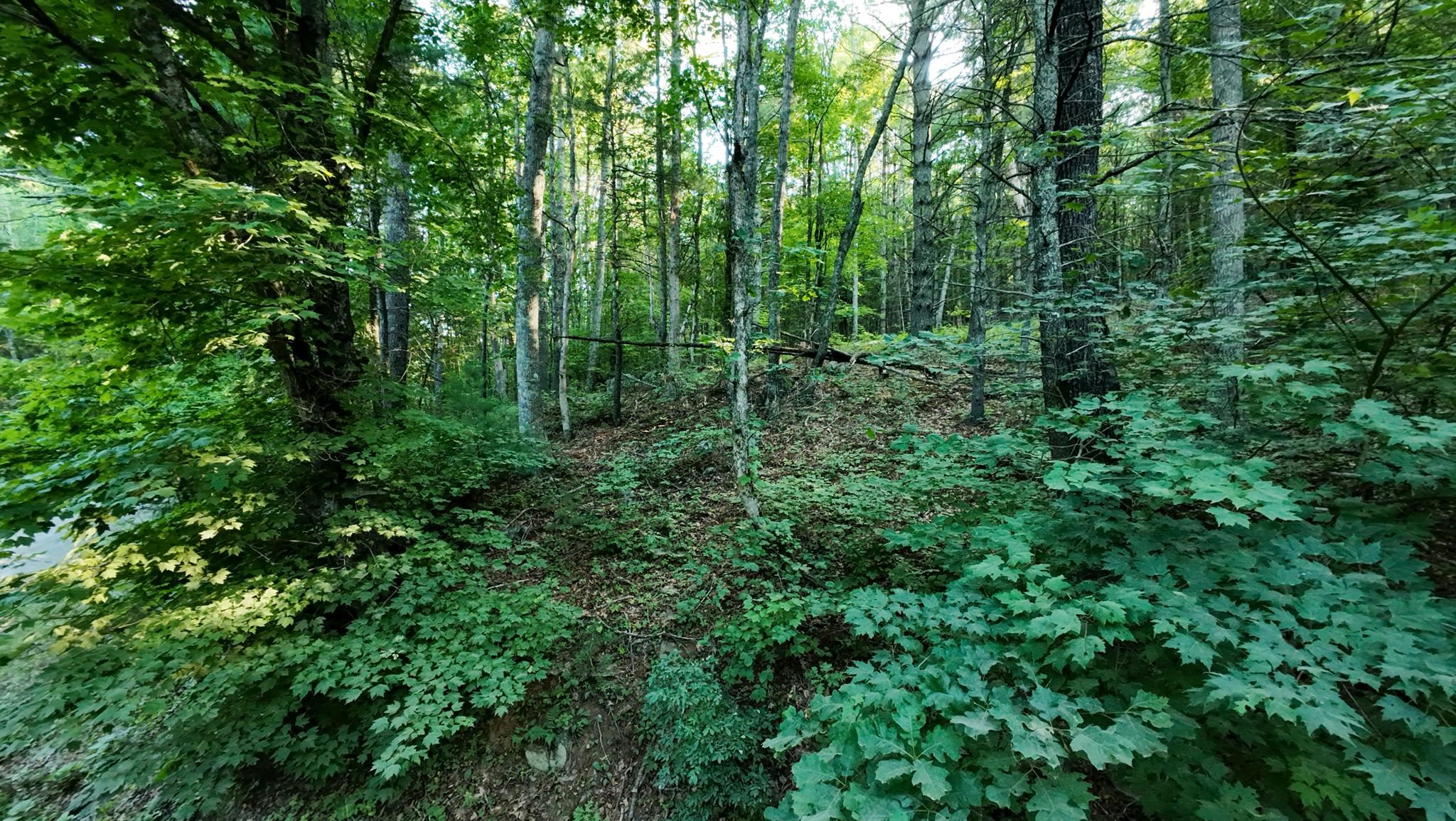 Tract 2 Merifield Road Willis VA 24380