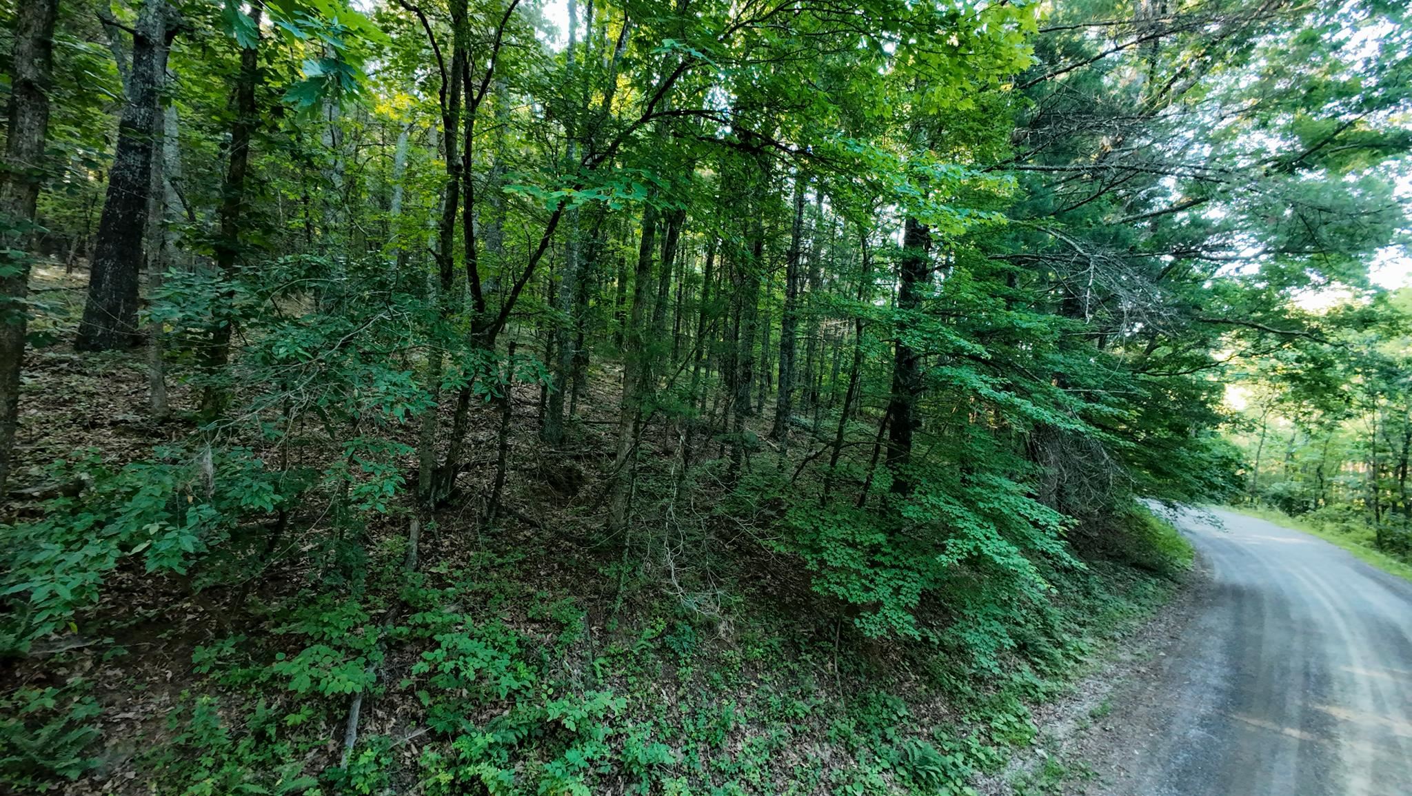 Tract 2 Merifield Road Willis VA 24380