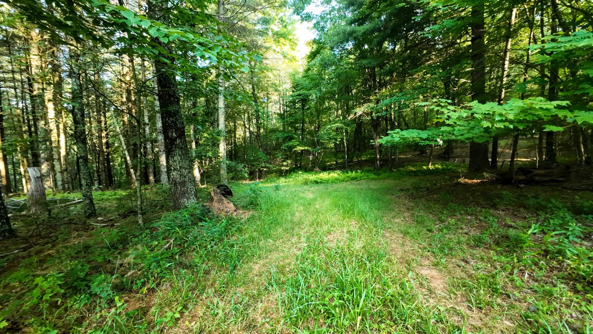 Tract 2 Merifield Road Willis VA 24380