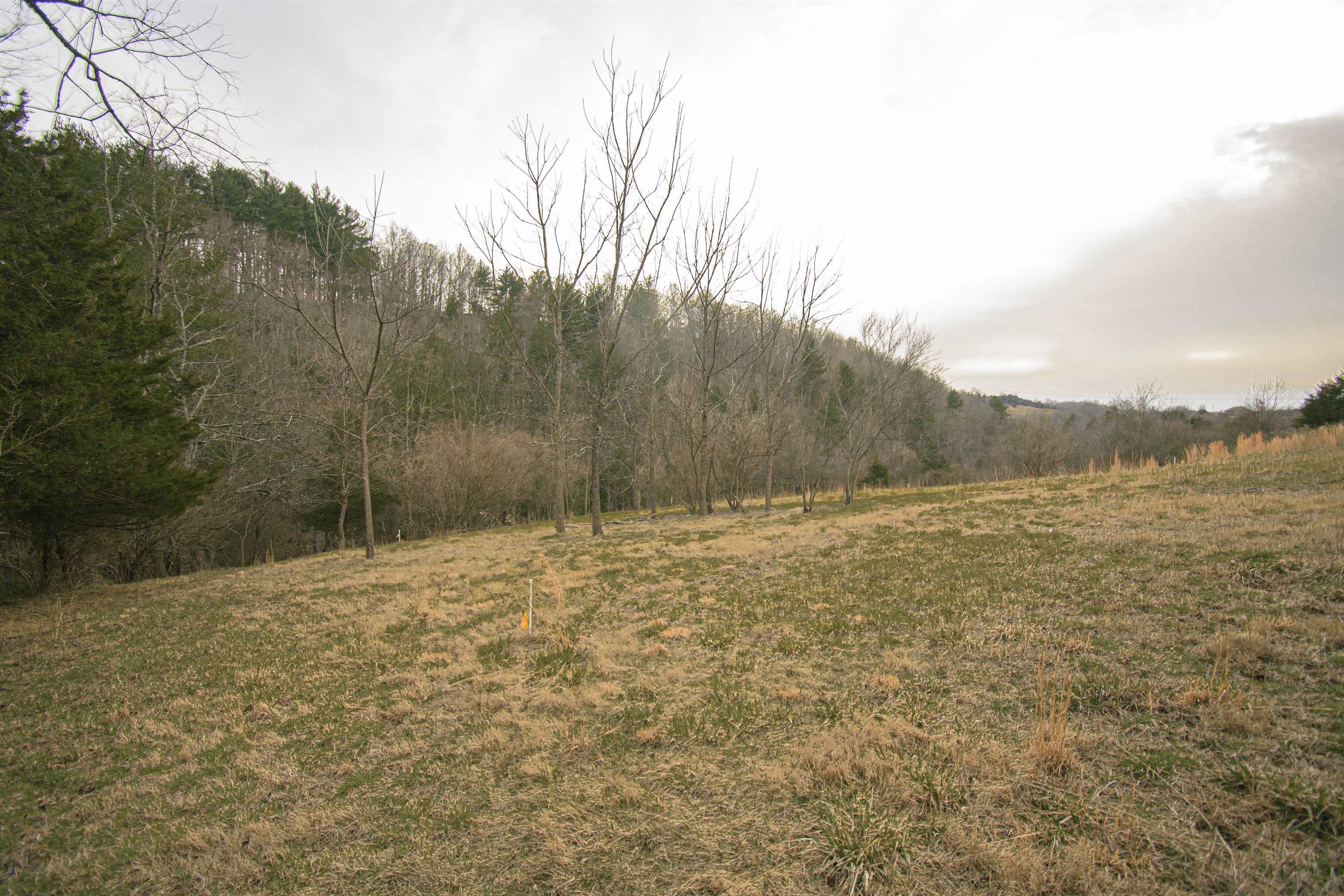 Tbd Lot 8 Boyd Road Draper VA 24324