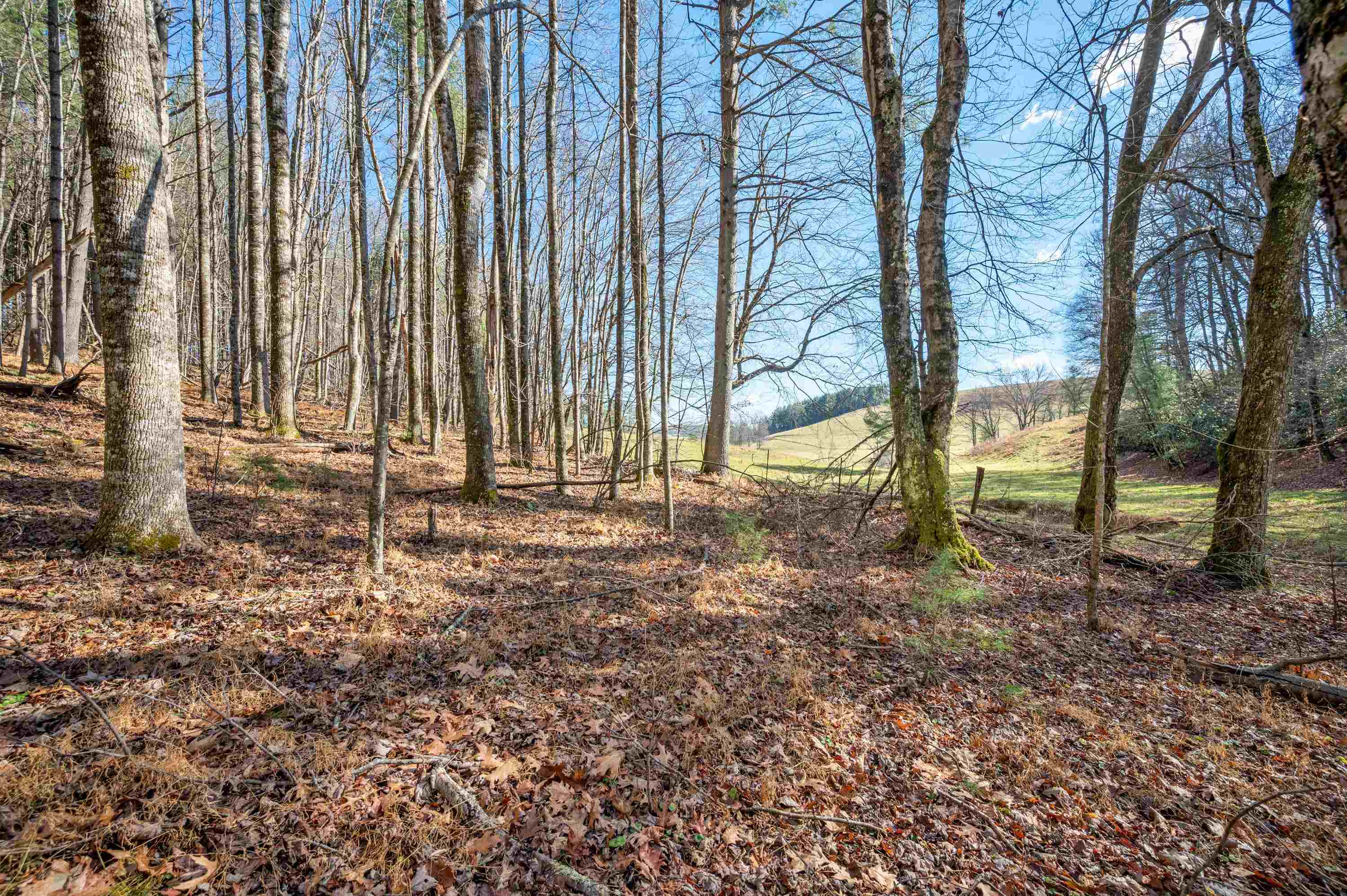 Tbd R-way Drive Hillsville VA 24343