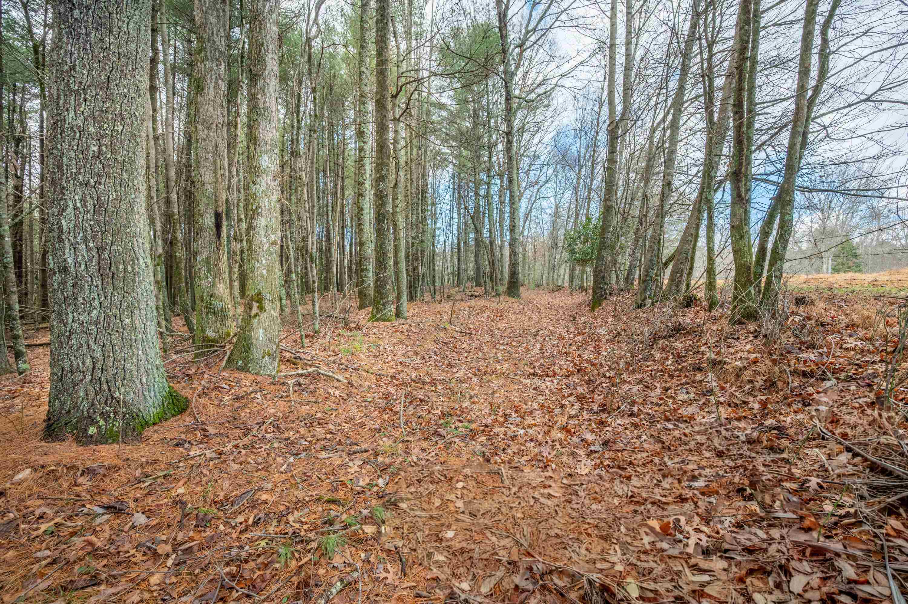 Tbd R-way Drive Hillsville VA 24343