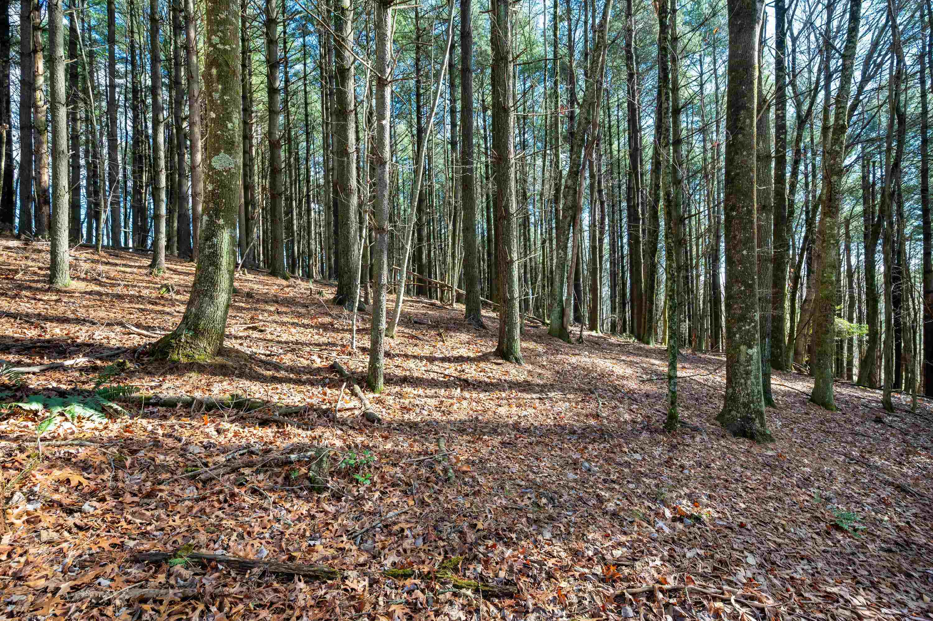 Tbd R-way Drive Hillsville VA 24343