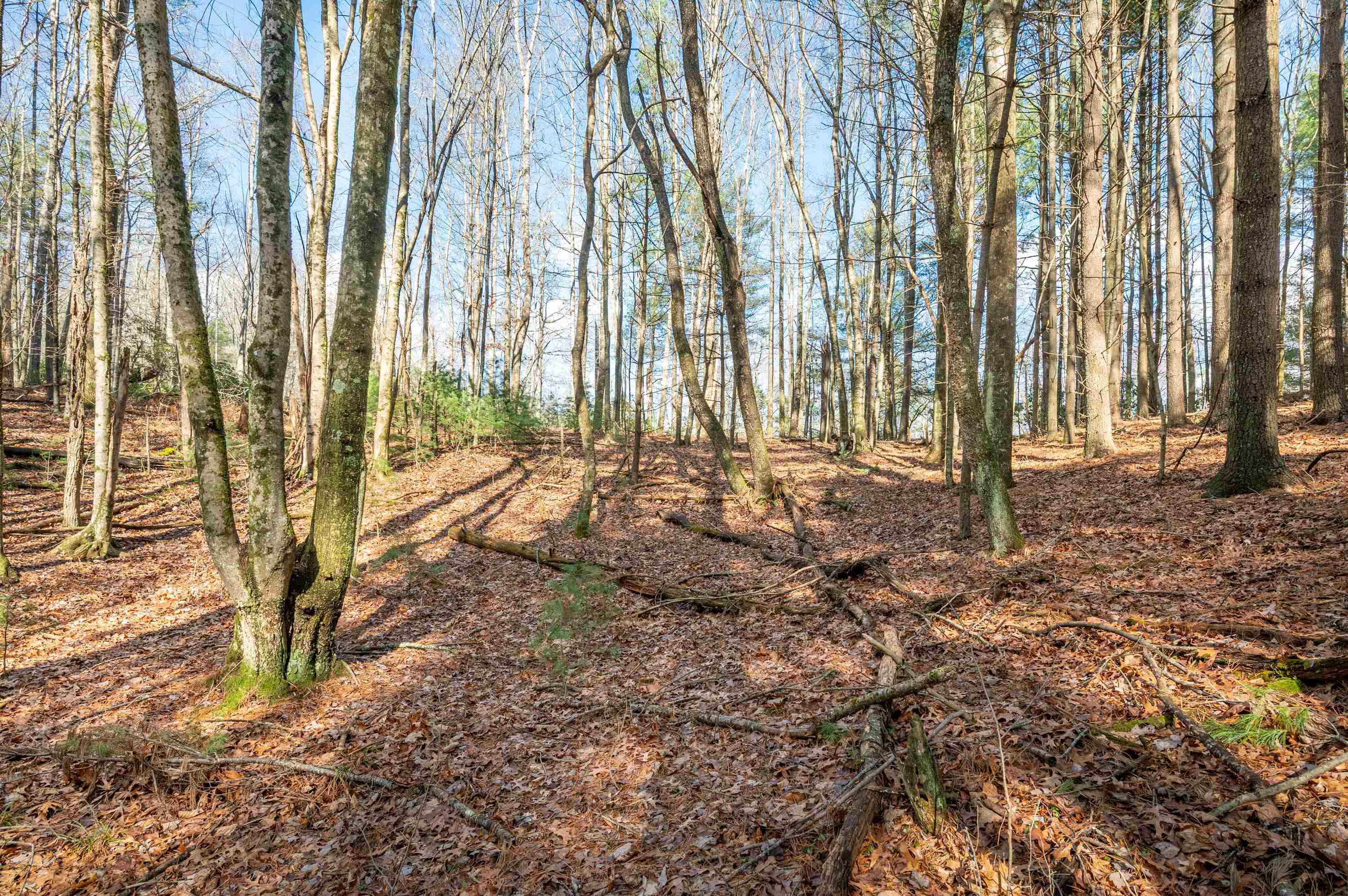 Tbd R-way Drive Hillsville VA 24343