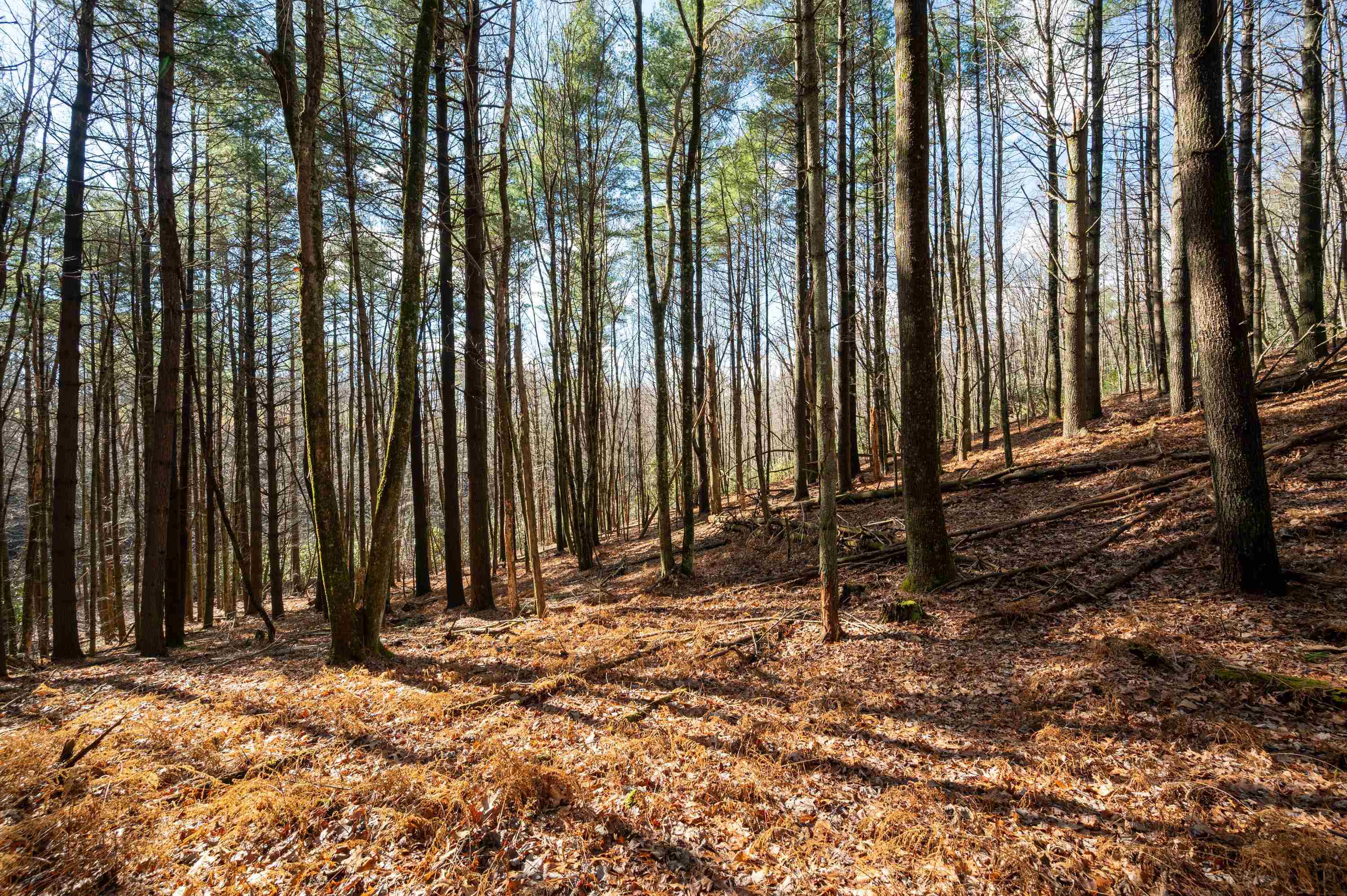 Tbd R-way Drive Hillsville VA 24343