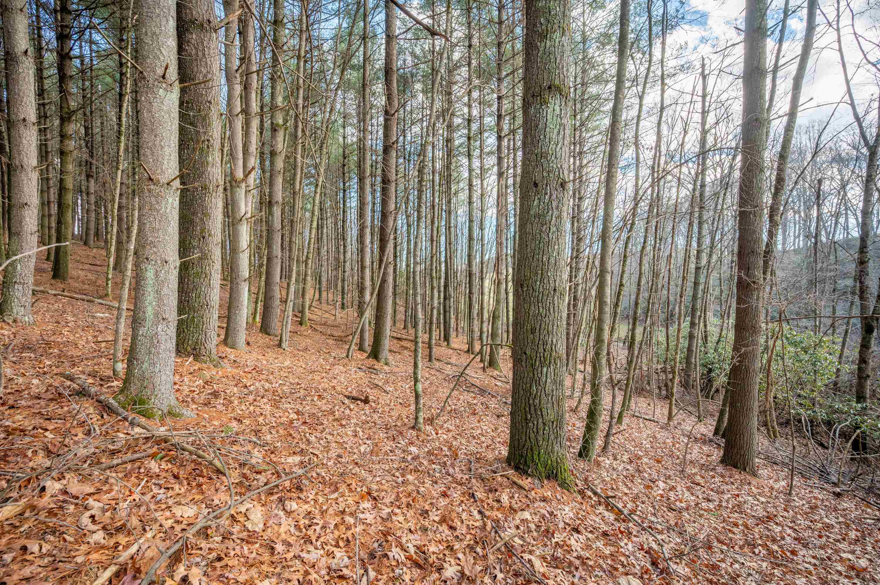 Tbd R-way Drive Hillsville VA 24343